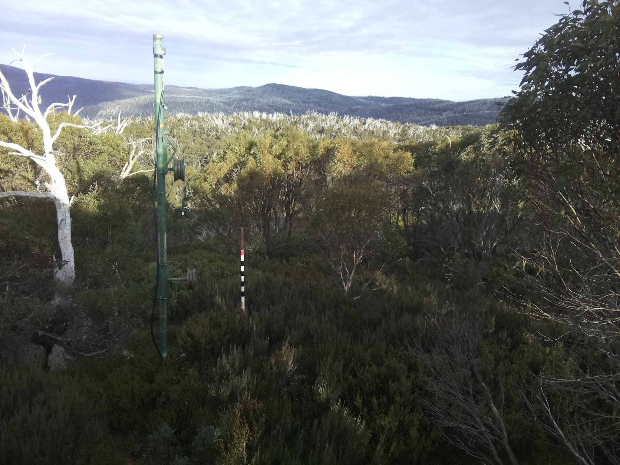 Bogong Web Cam 3:40pm Wednesday 21st of May 2025