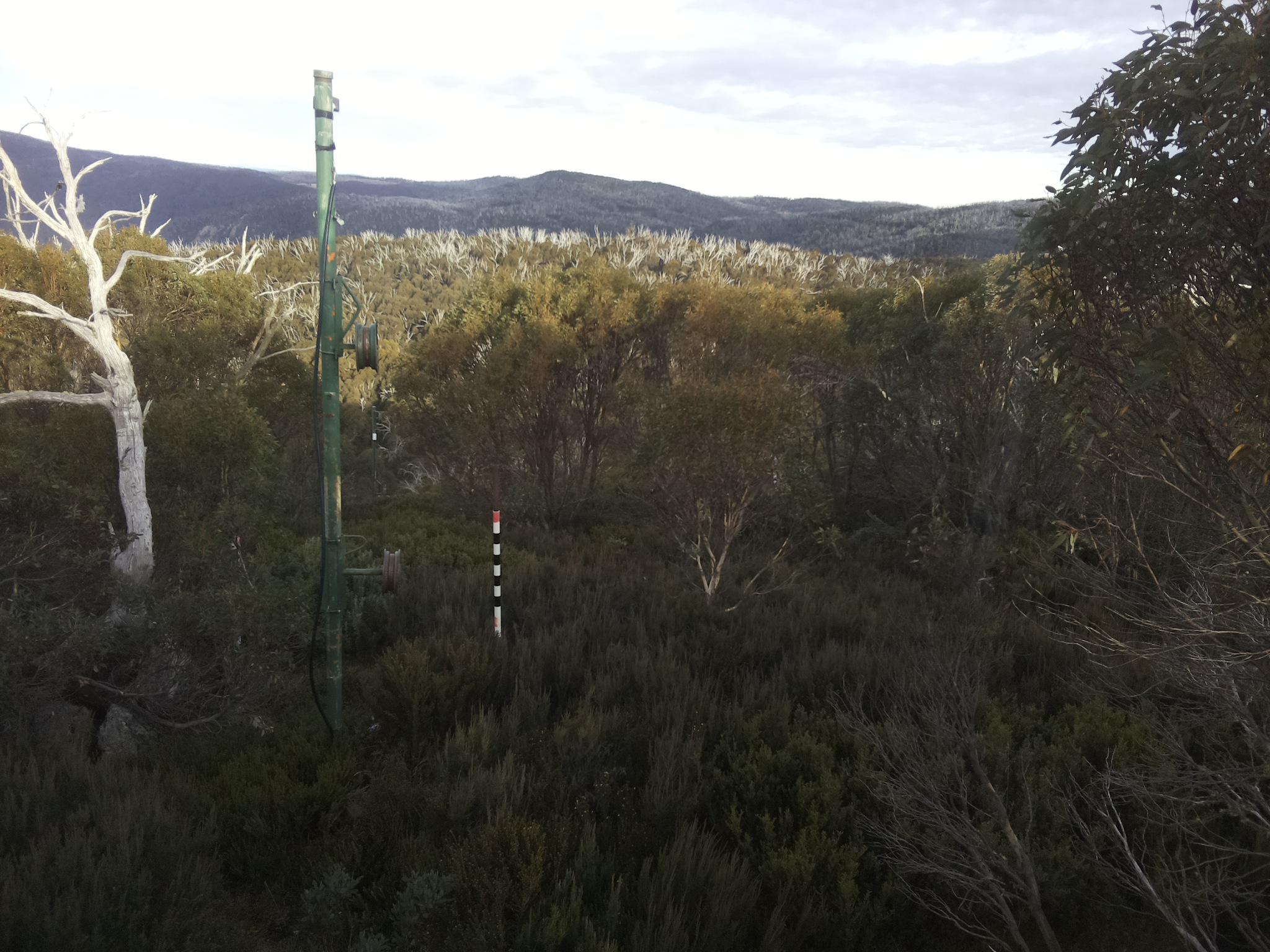 Bogong Web Cam 3:50pm Wednesday 21st of May 2025