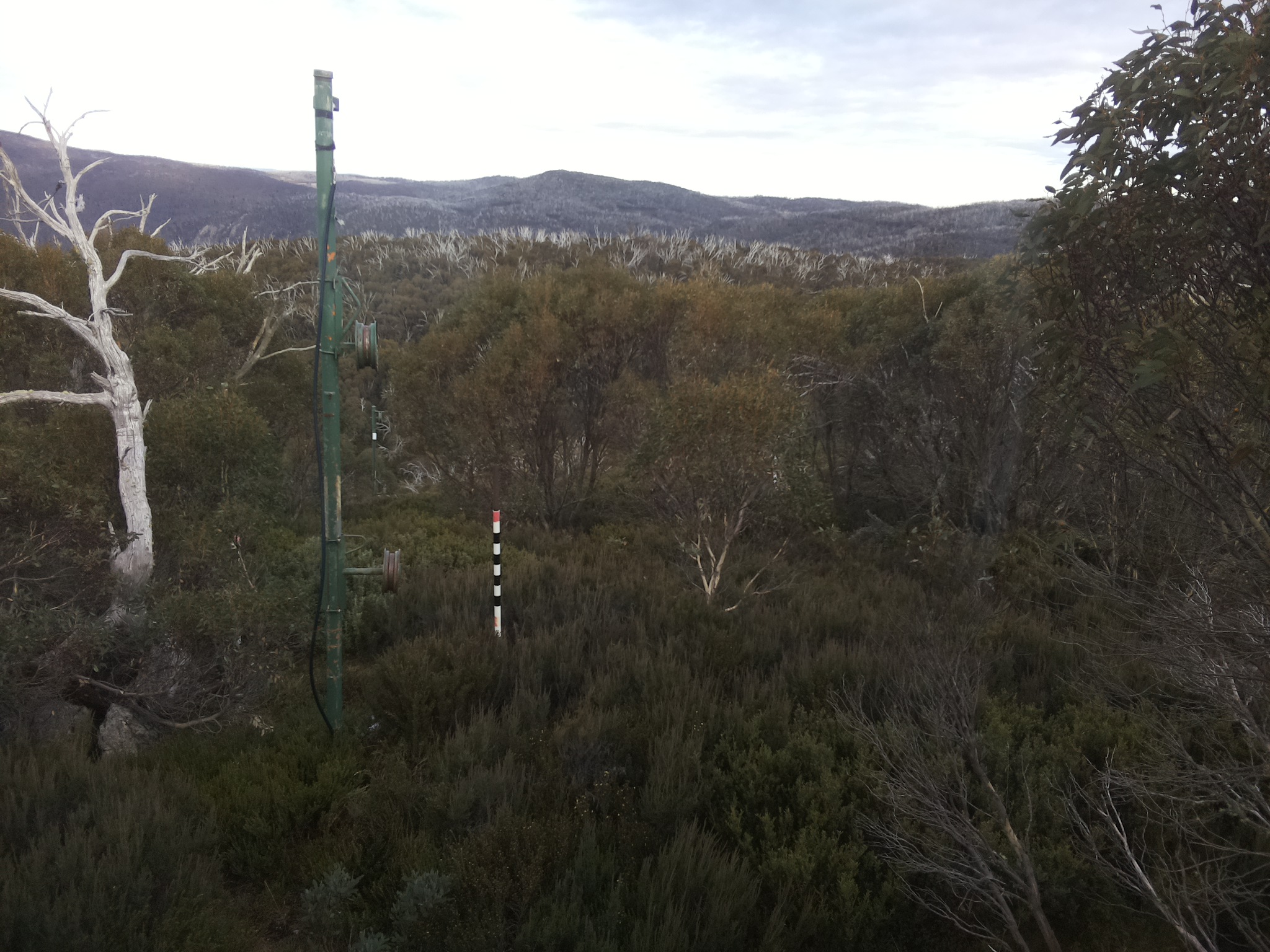 Bogong Web Cam 4:00pm Wednesday 21st of May 2025
