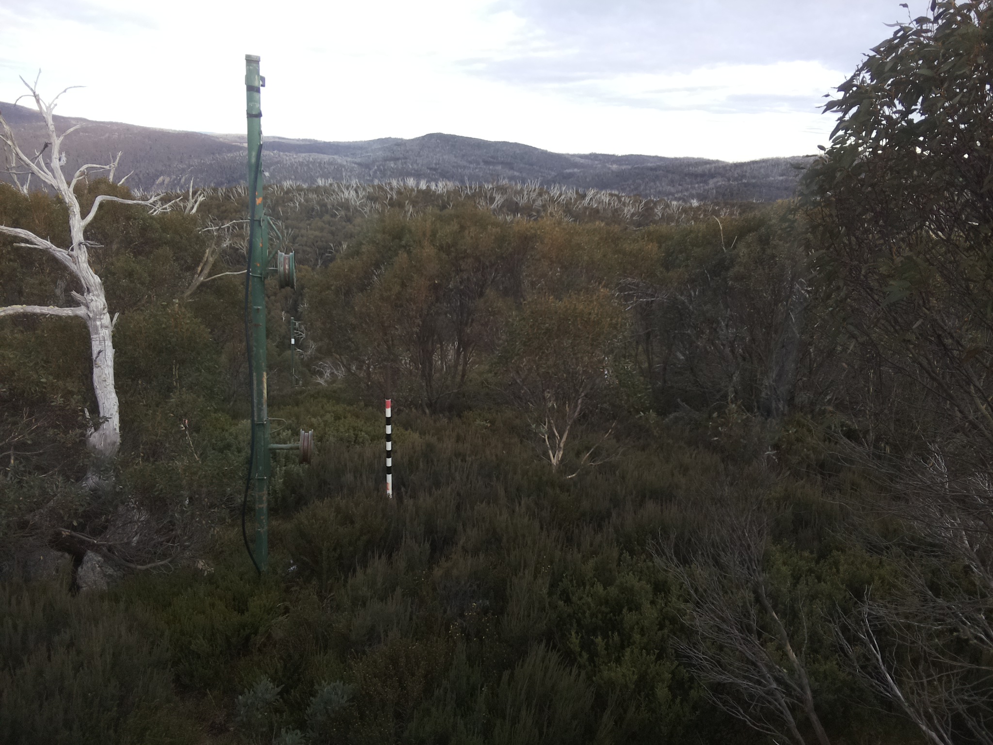 Bogong Web Cam 4:10pm Wednesday 21st of May 2025
