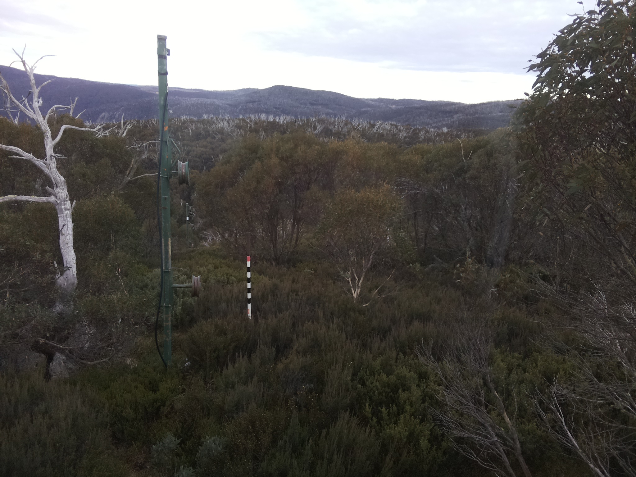 Bogong Web Cam 4:20pm Wednesday 21st of May 2025