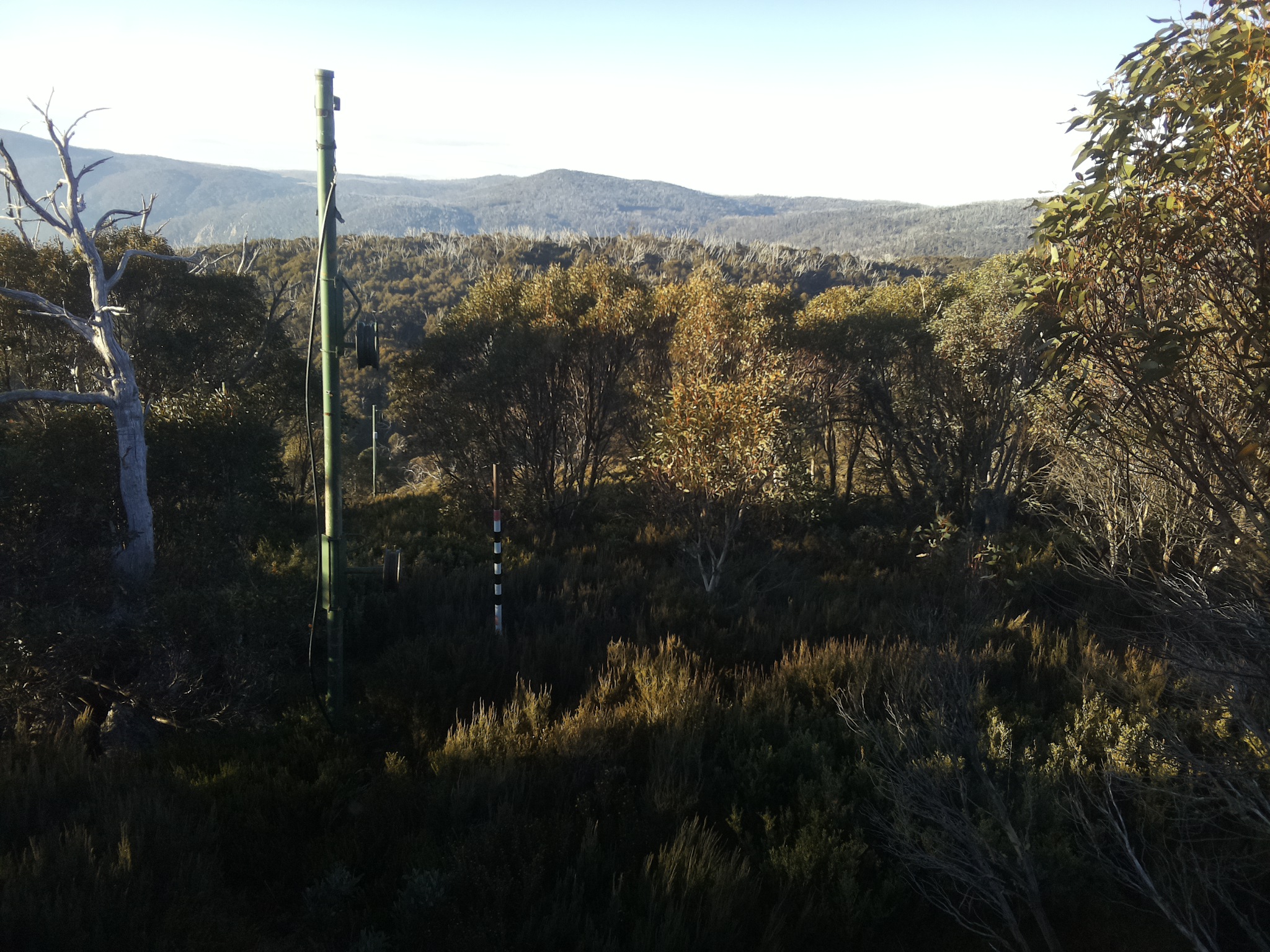 Bogong Web Cam 8:00am Thursday 22nd of May 2025