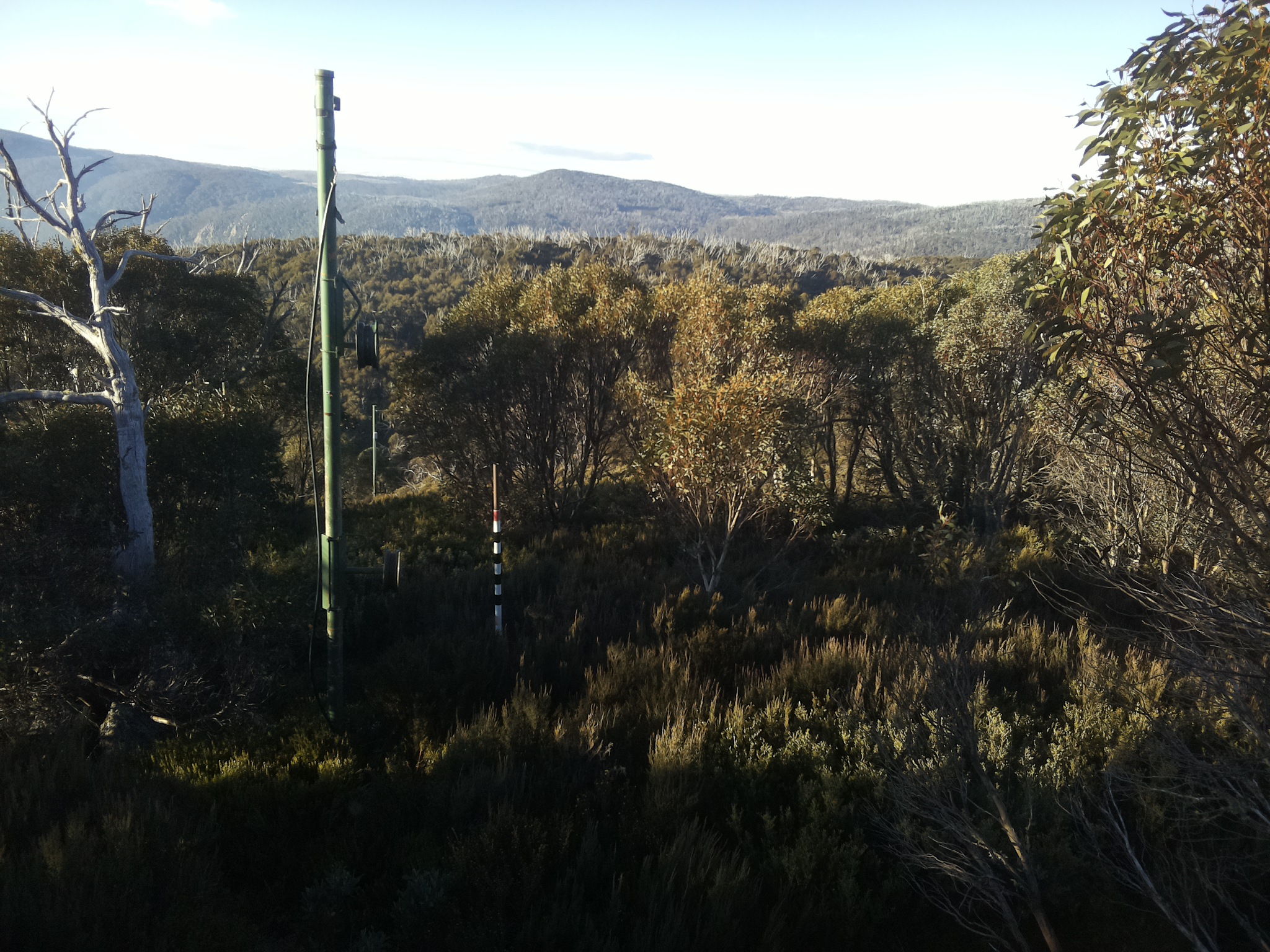 Bogong Web Cam 8:10am Thursday 22nd of May 2025