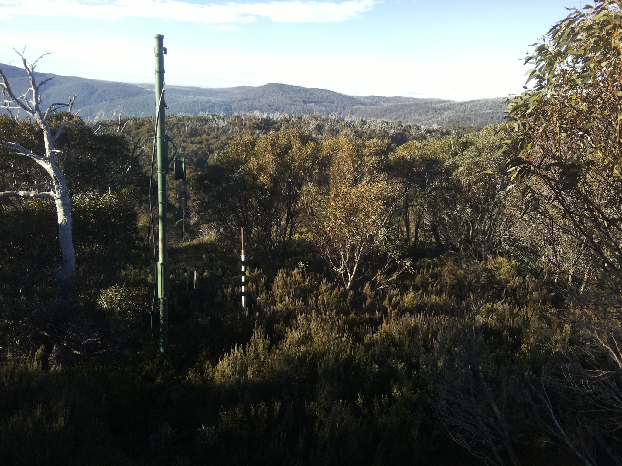 Bogong Web Cam 8:30am Thursday 22nd of May 2025