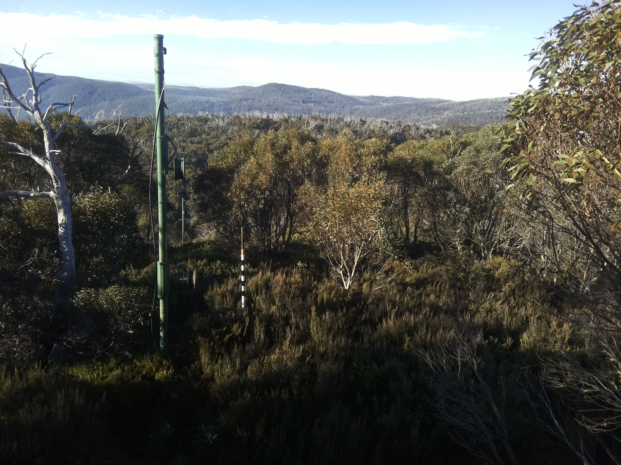 Bogong Web Cam 8:50am Thursday 22nd of May 2025