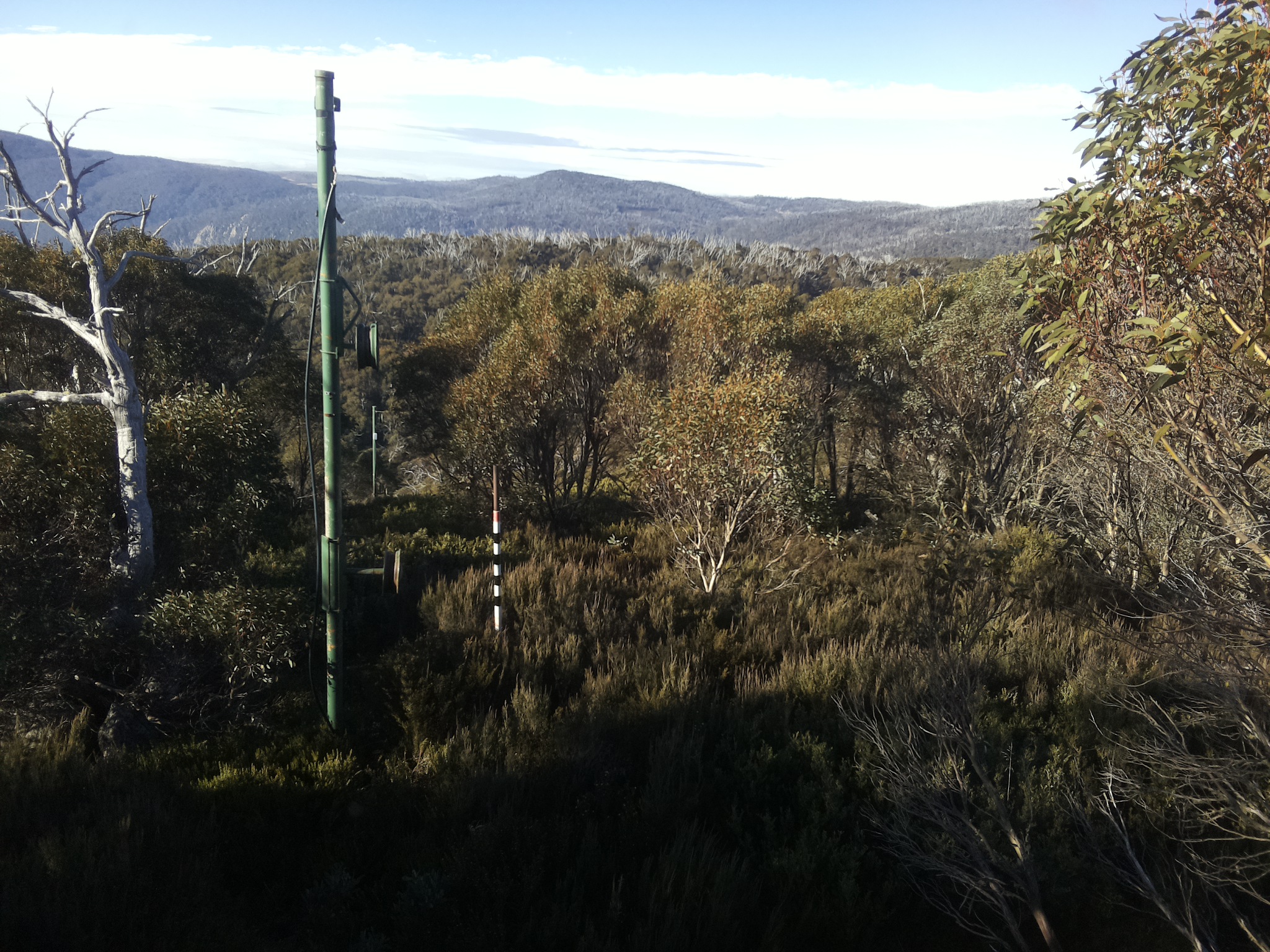 Bogong Web Cam 9:10am Thursday 22nd of May 2025