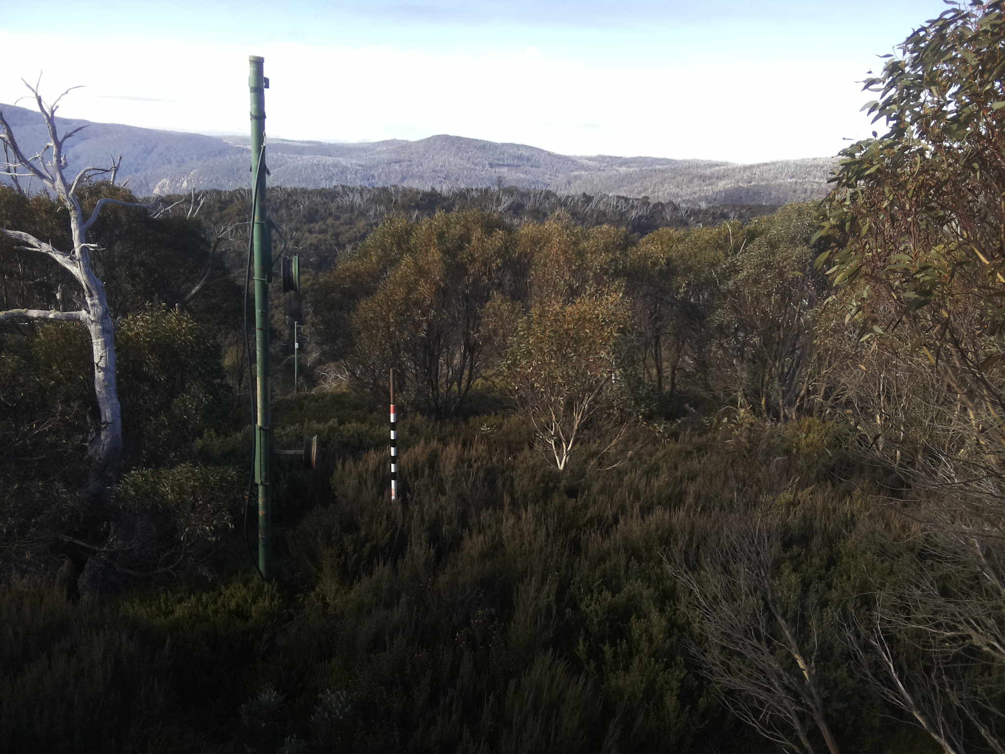 Bogong Web Cam 9:20am Thursday 22nd of May 2025