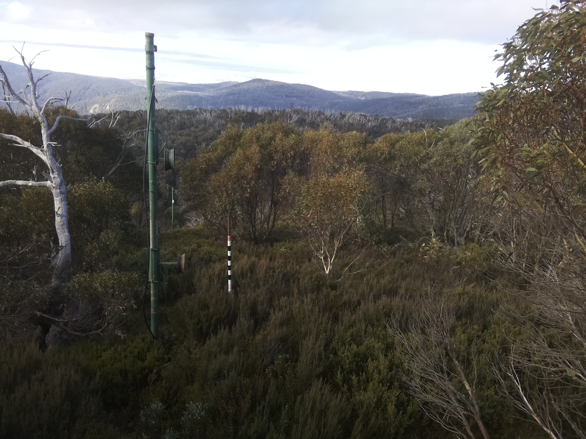 Bogong Web Cam 9:30am Thursday 22nd of May 2025