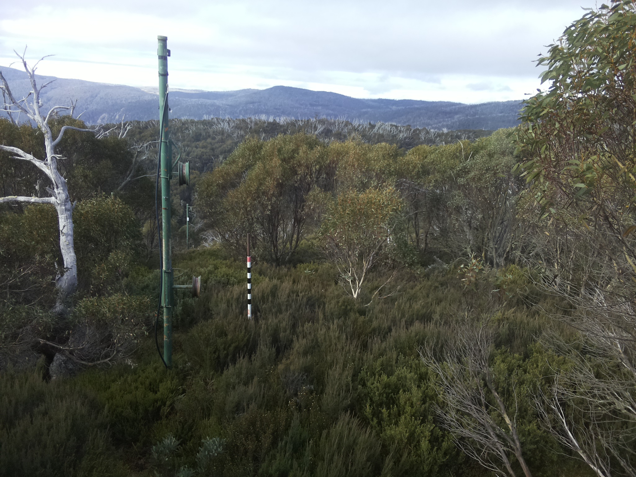 Bogong Web Cam 9:40am Thursday 22nd of May 2025