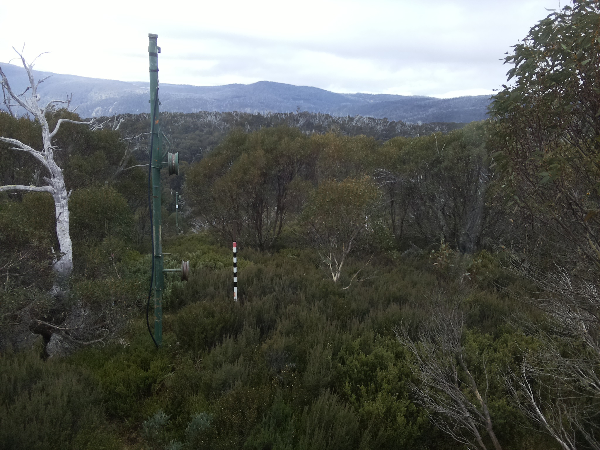 Bogong Web Cam 10:00am Thursday 22nd of May 2025