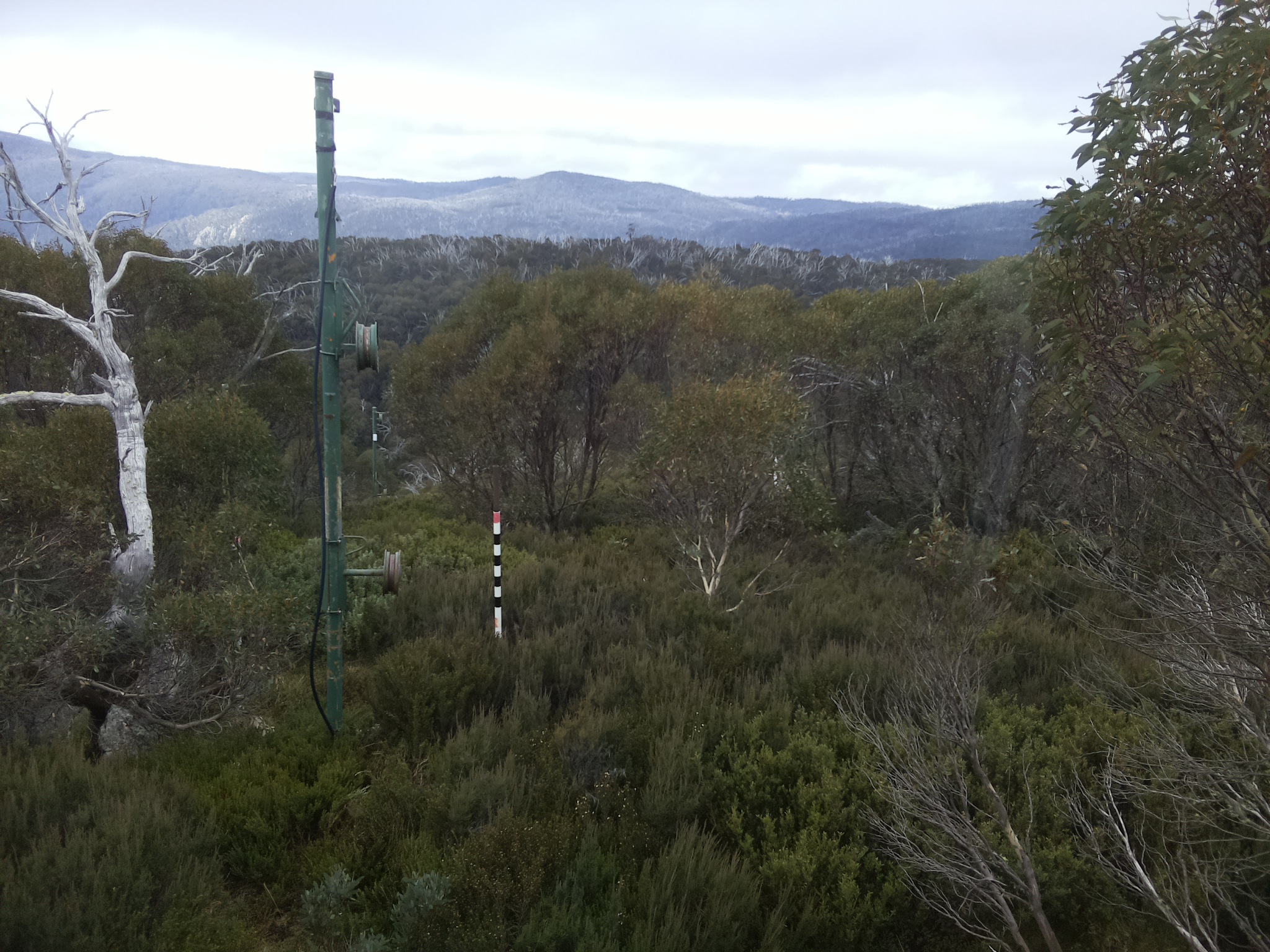 Bogong Web Cam 10:10am Thursday 22nd of May 2025