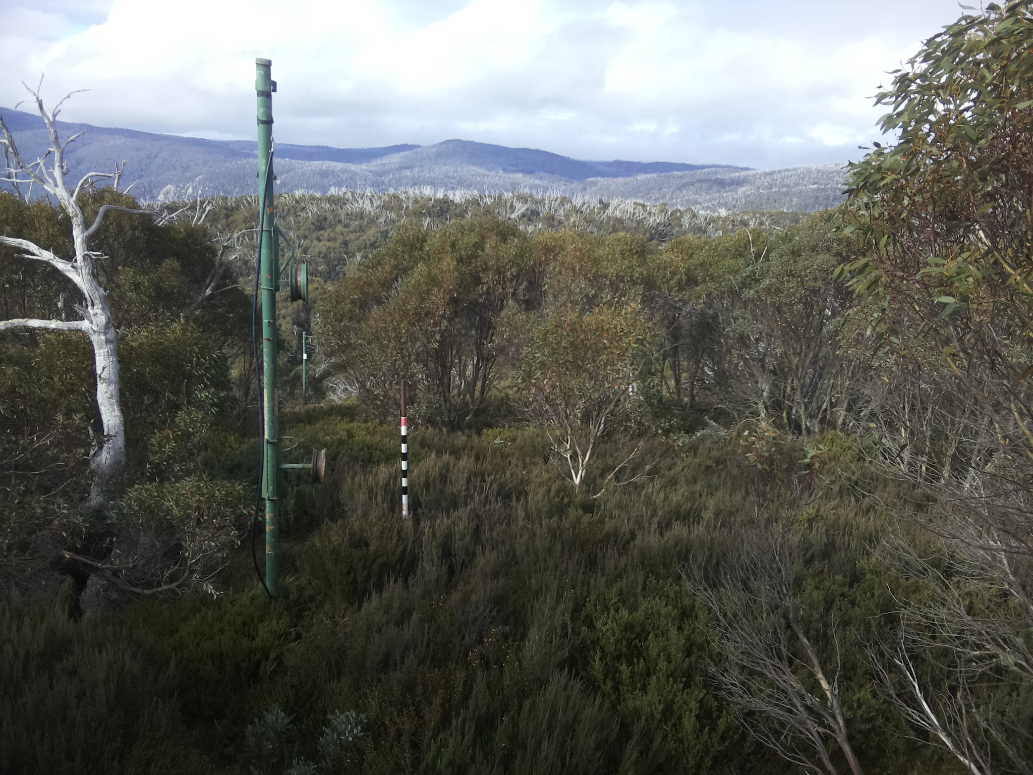 Bogong Web Cam 10:30am Thursday 22nd of May 2025