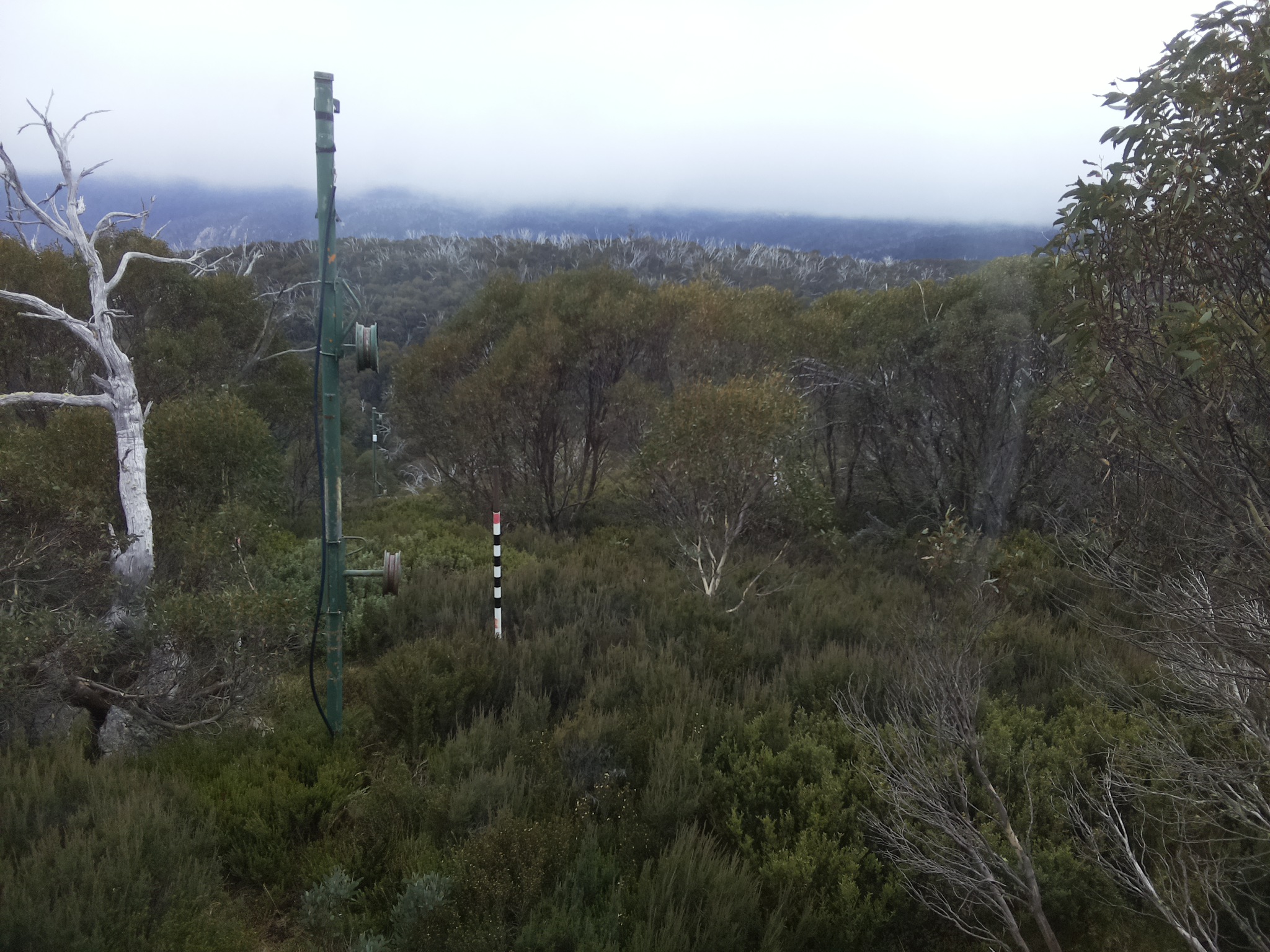 Bogong Web Cam 11:00am Thursday 22nd of May 2025