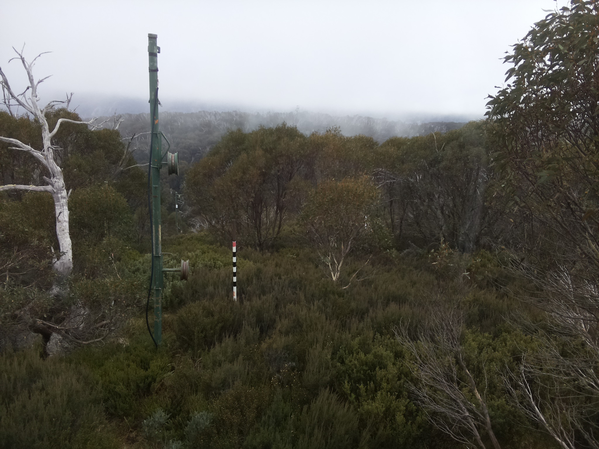 Bogong Web Cam 11:10am Thursday 22nd of May 2025