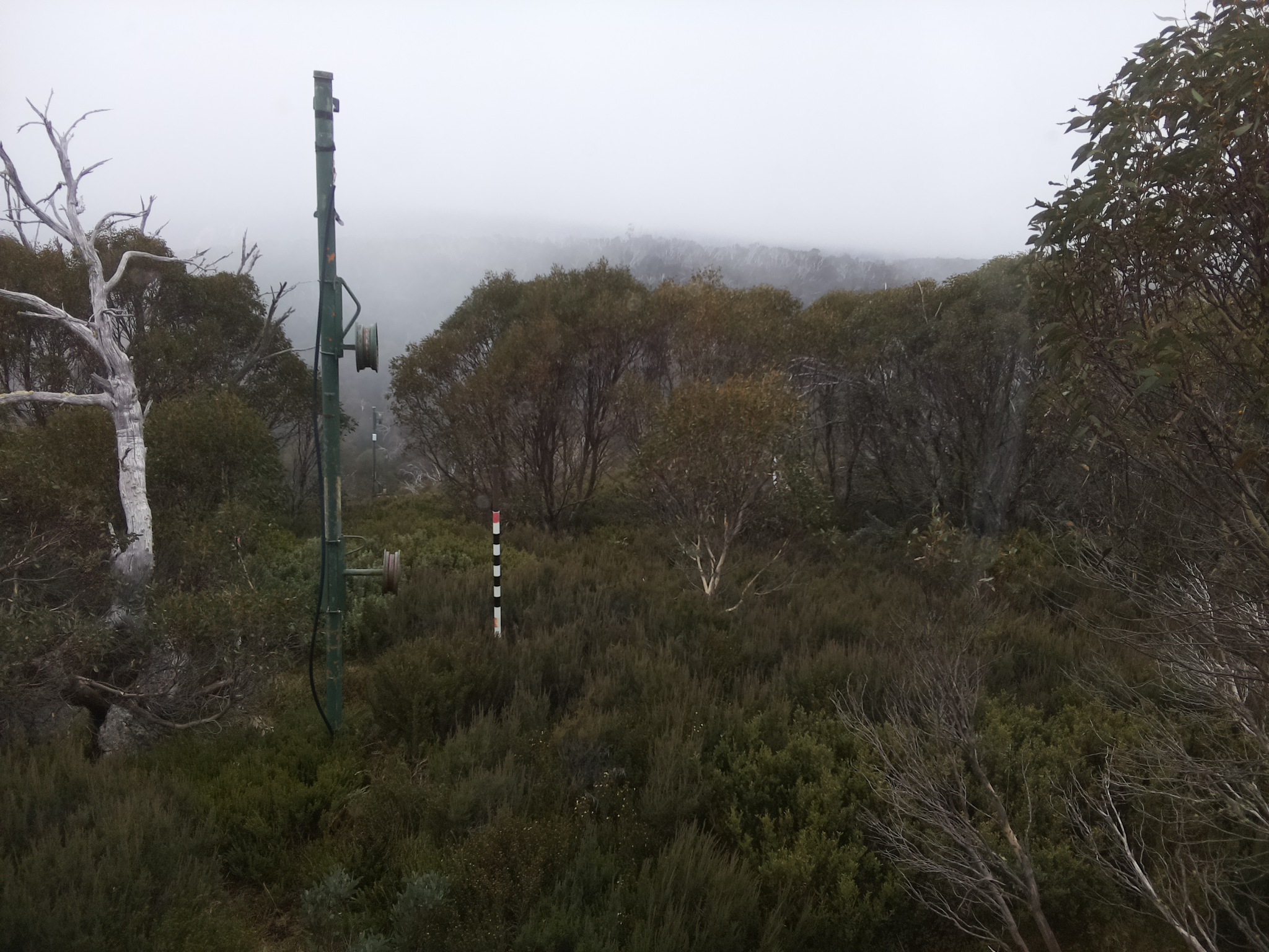 Bogong Web Cam 11:20am Thursday 22nd of May 2025