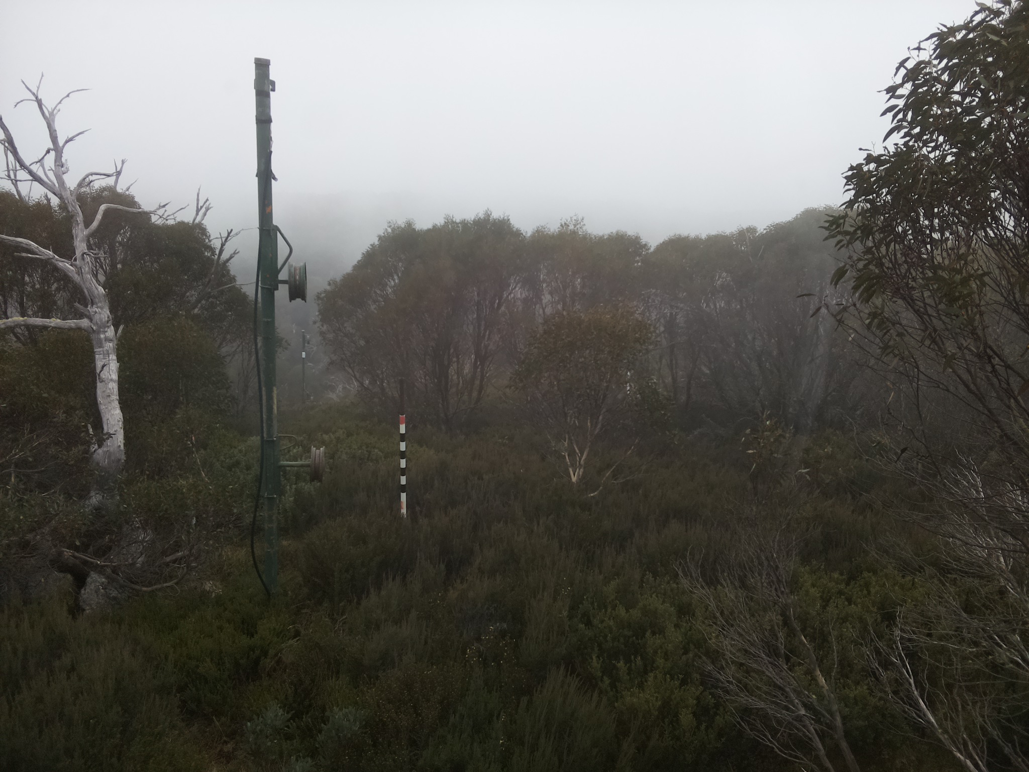Bogong Web Cam 11:40am Thursday 22nd of May 2025