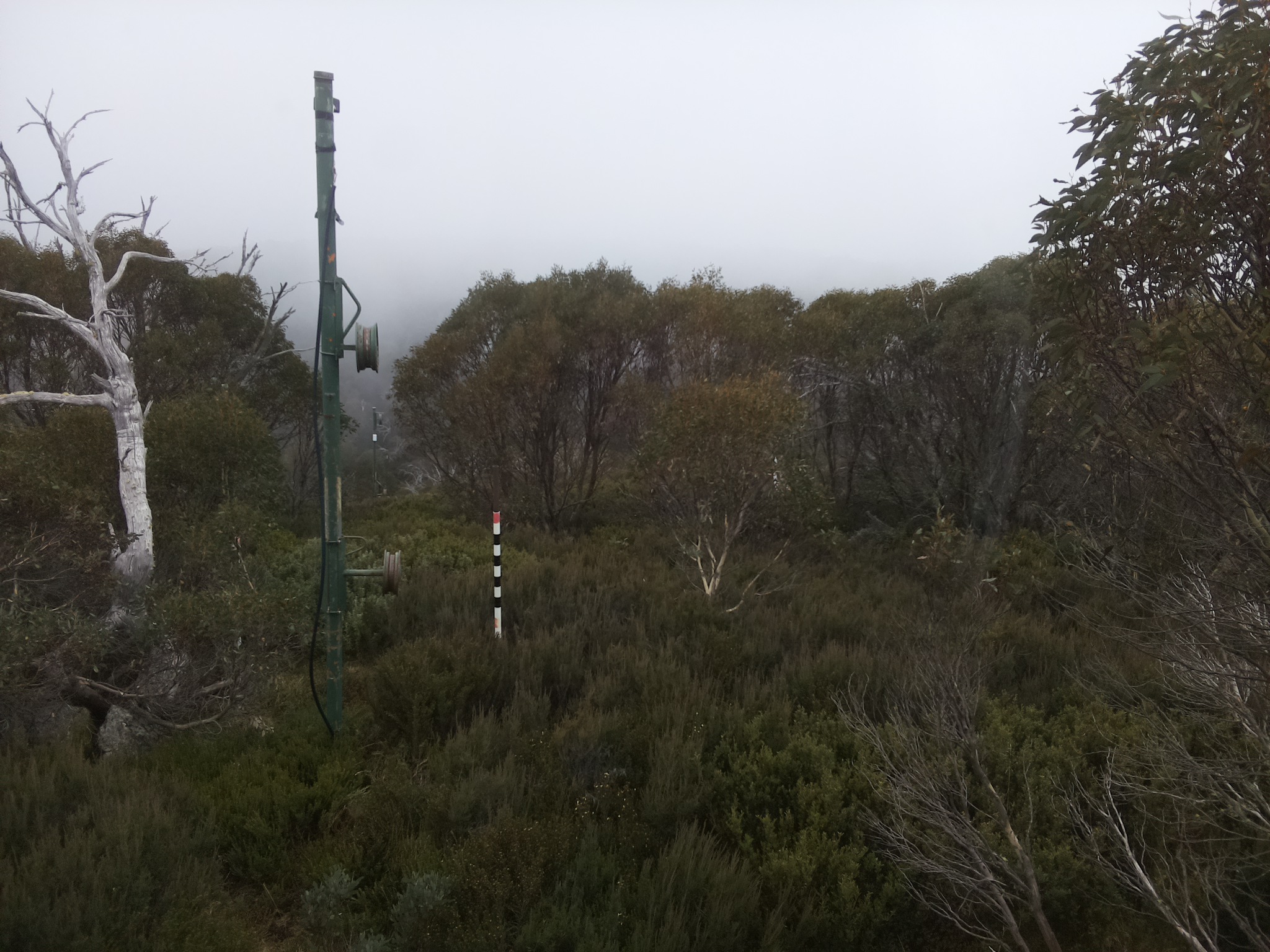 Bogong Web Cam 11:50am Thursday 22nd of May 2025