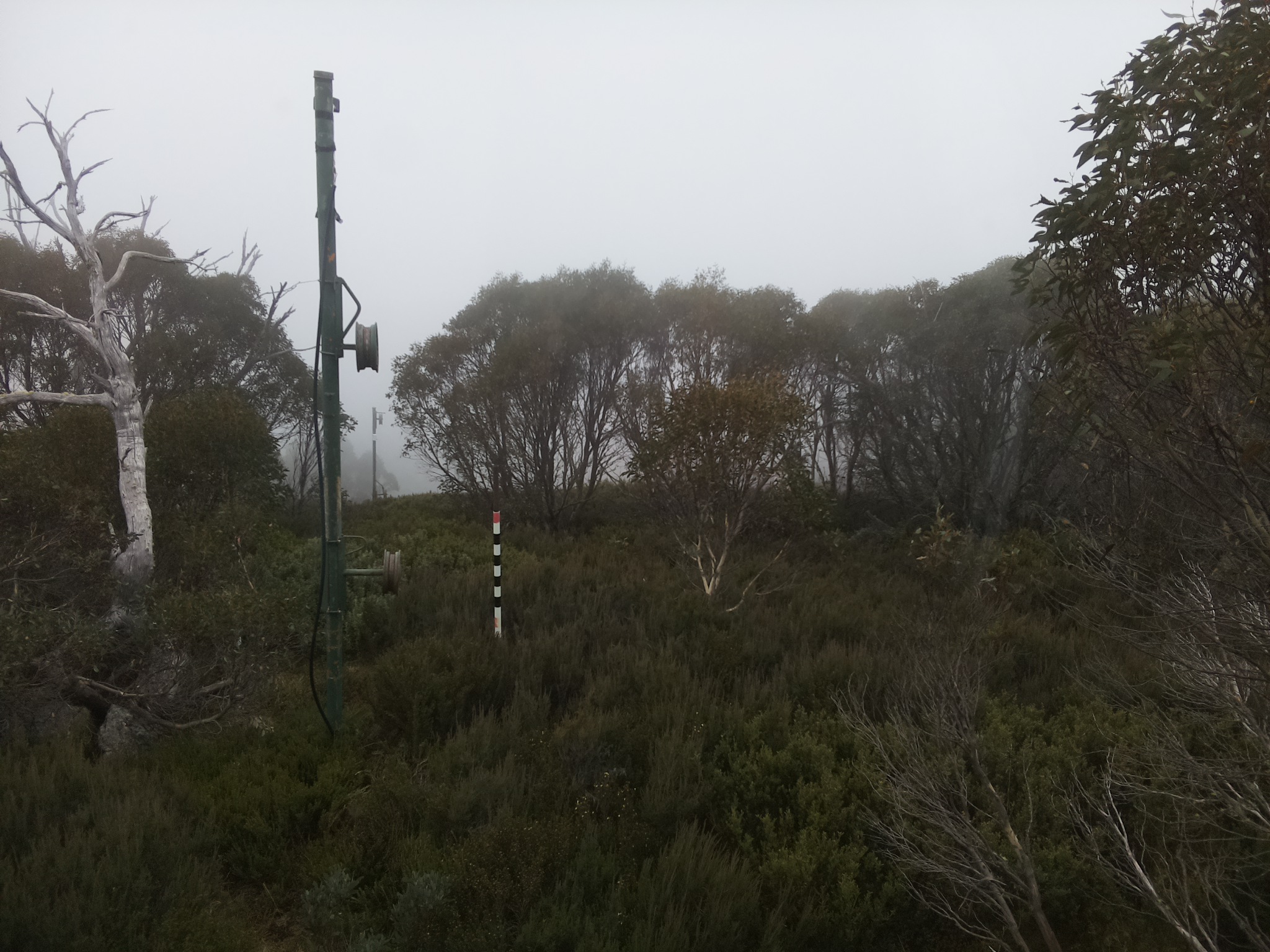 Bogong Web Cam 12:00pm Thursday 22nd of May 2025