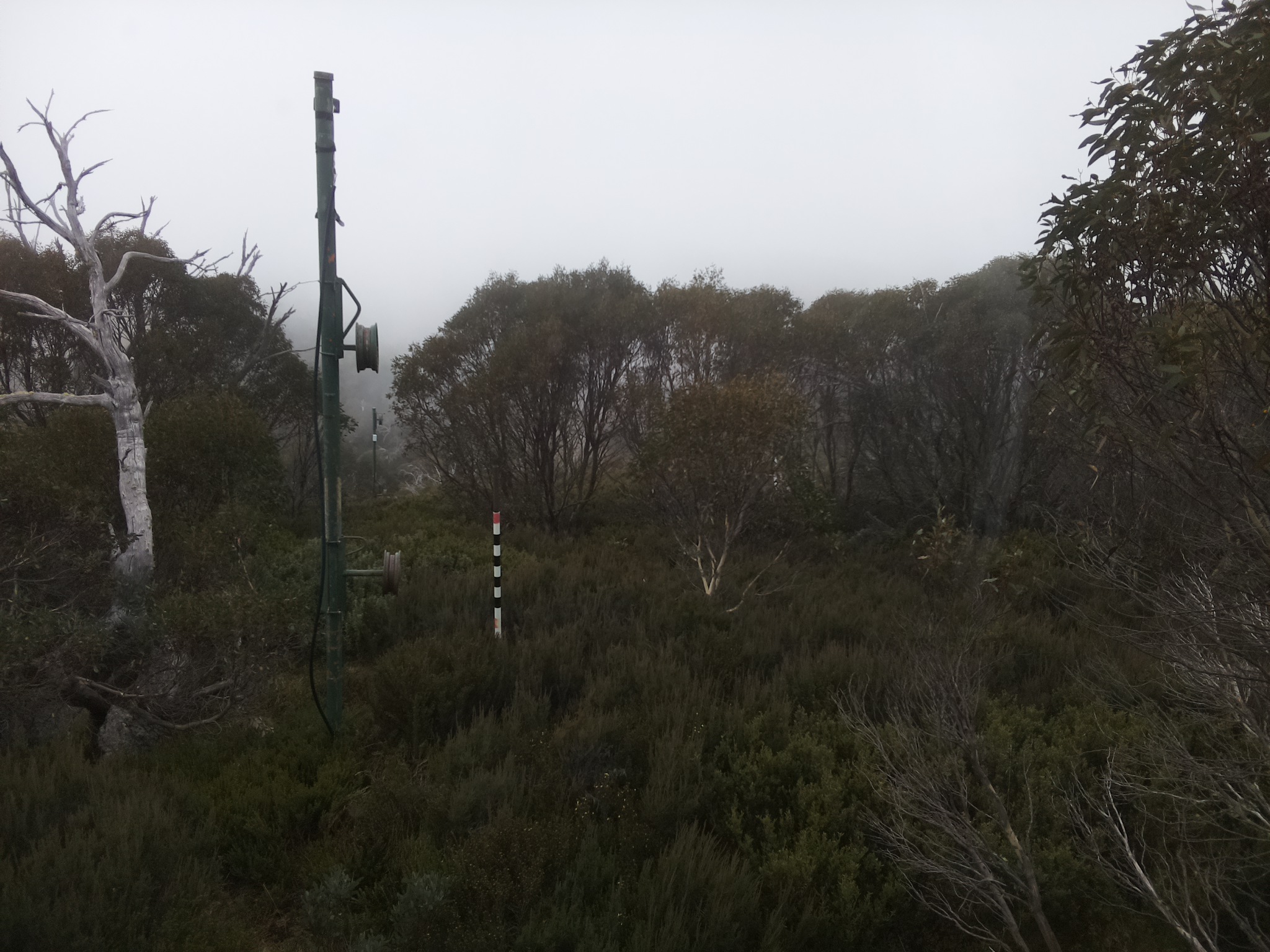 Bogong Web Cam 12:20pm Thursday 22nd of May 2025