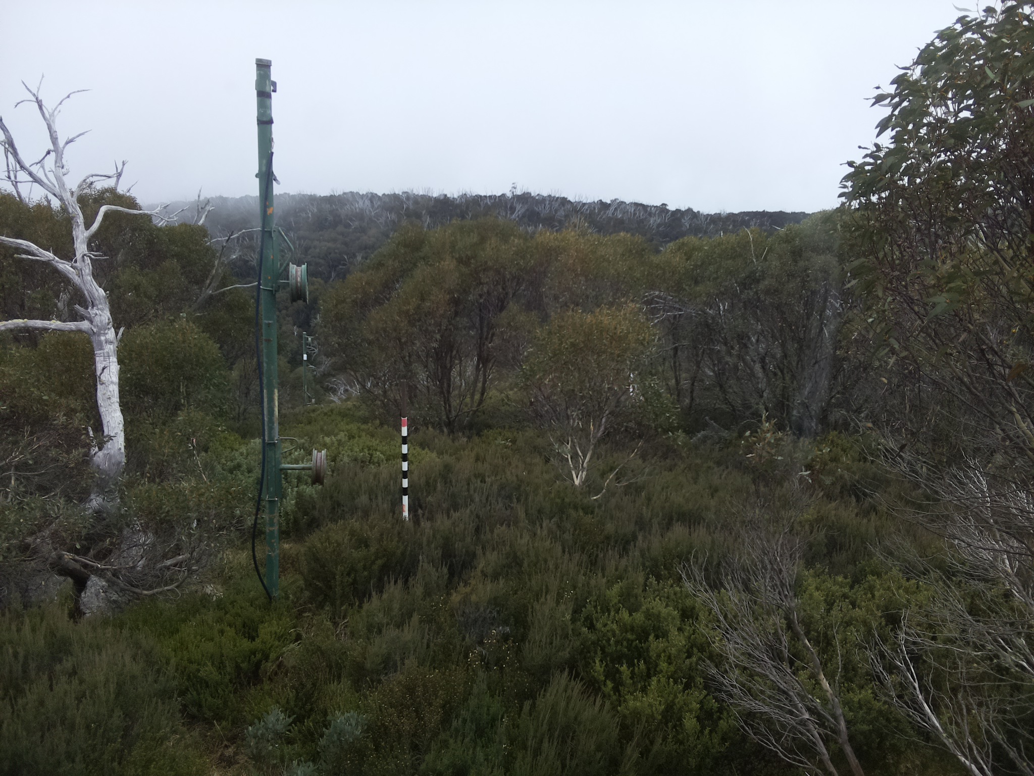 Bogong Web Cam 12:30pm Thursday 22nd of May 2025