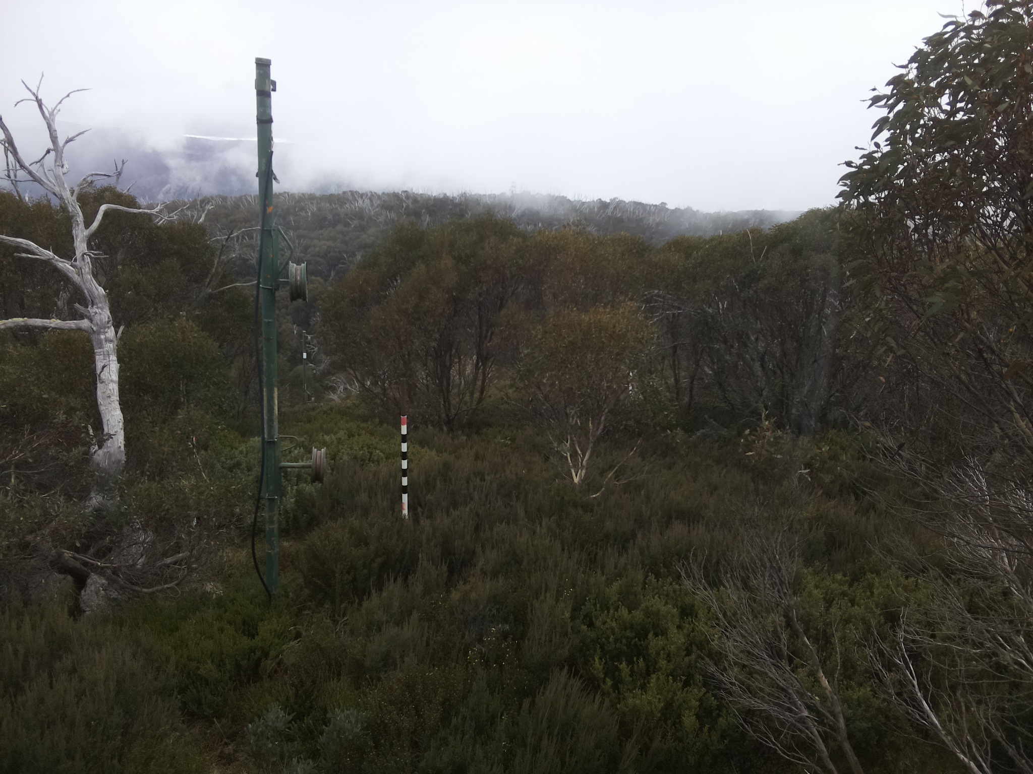 Bogong Web Cam 12:40pm Thursday 22nd of May 2025