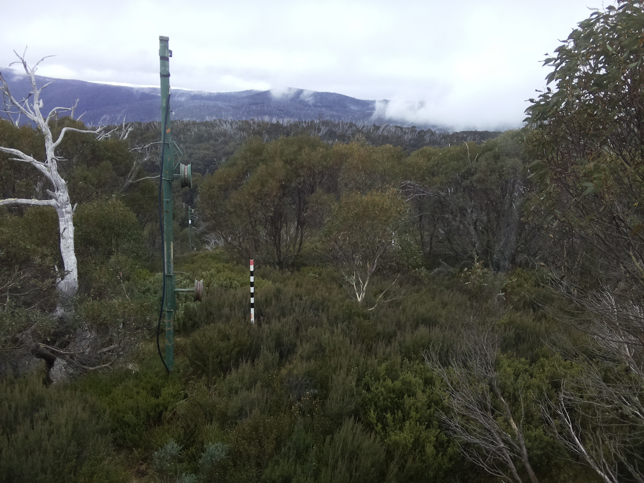 Bogong Web Cam 12:50pm Thursday 22nd of May 2025