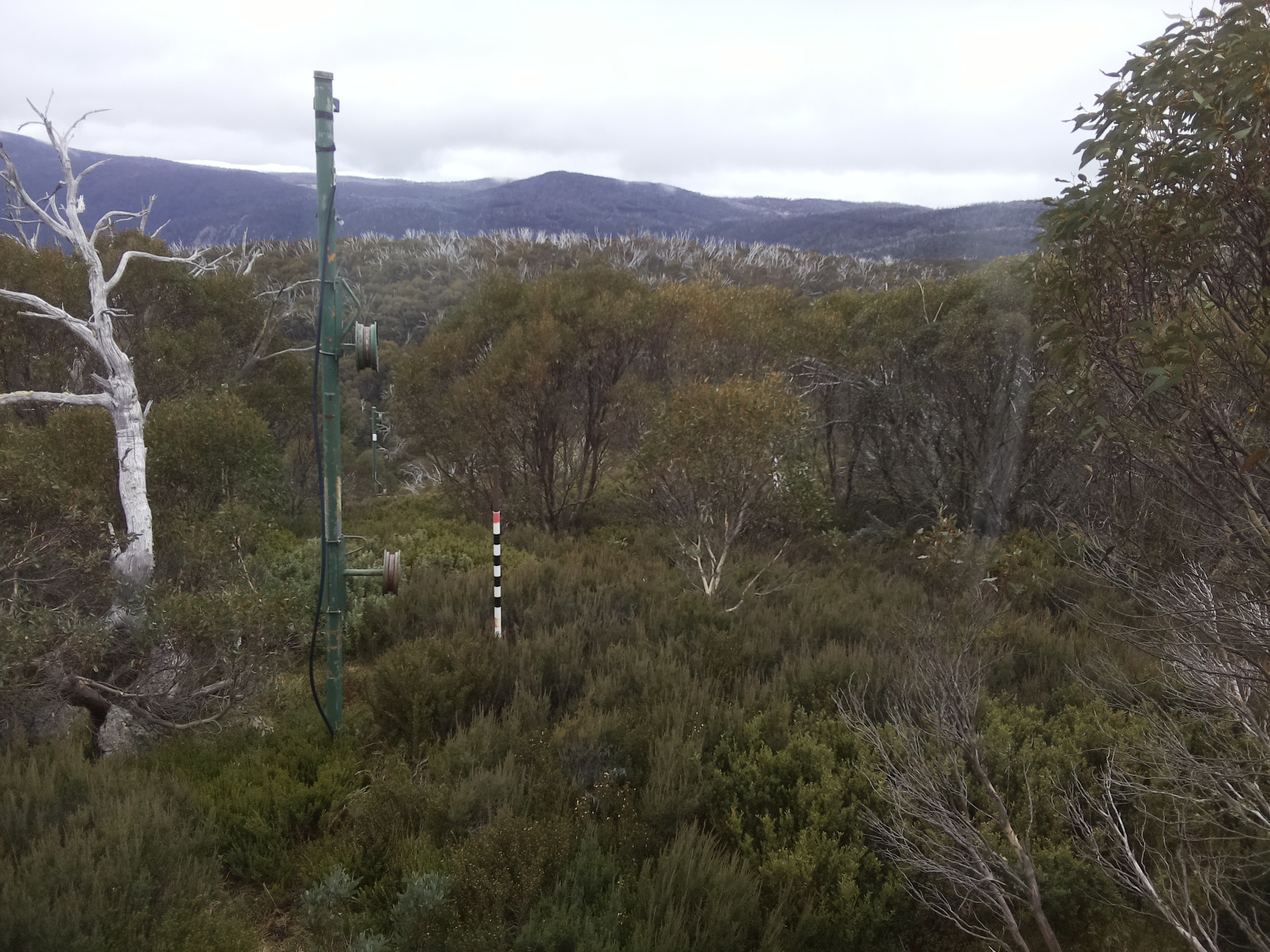 Bogong Web Cam 1:00pm Thursday 22nd of May 2025