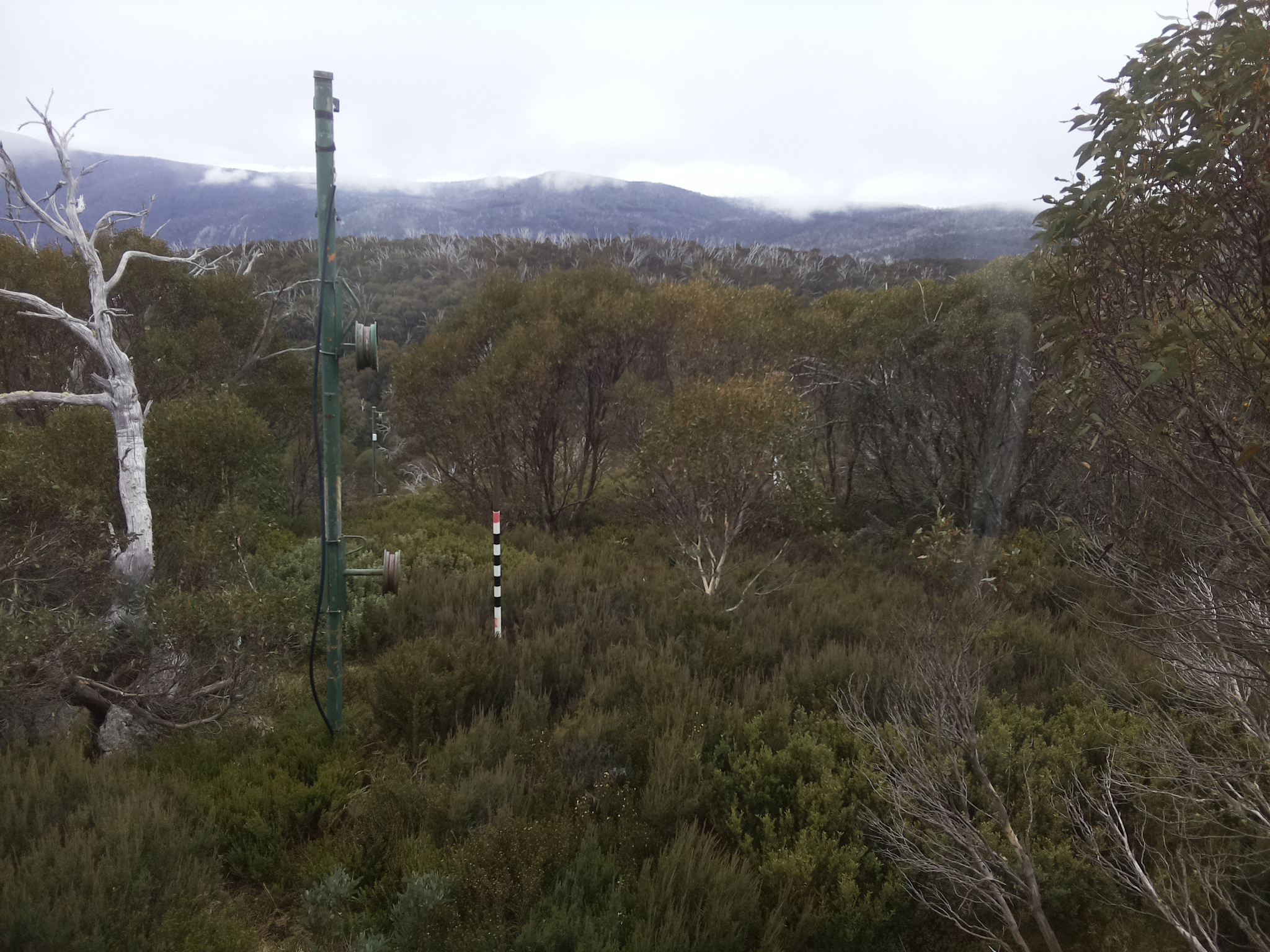 Bogong Web Cam 1:10pm Thursday 22nd of May 2025