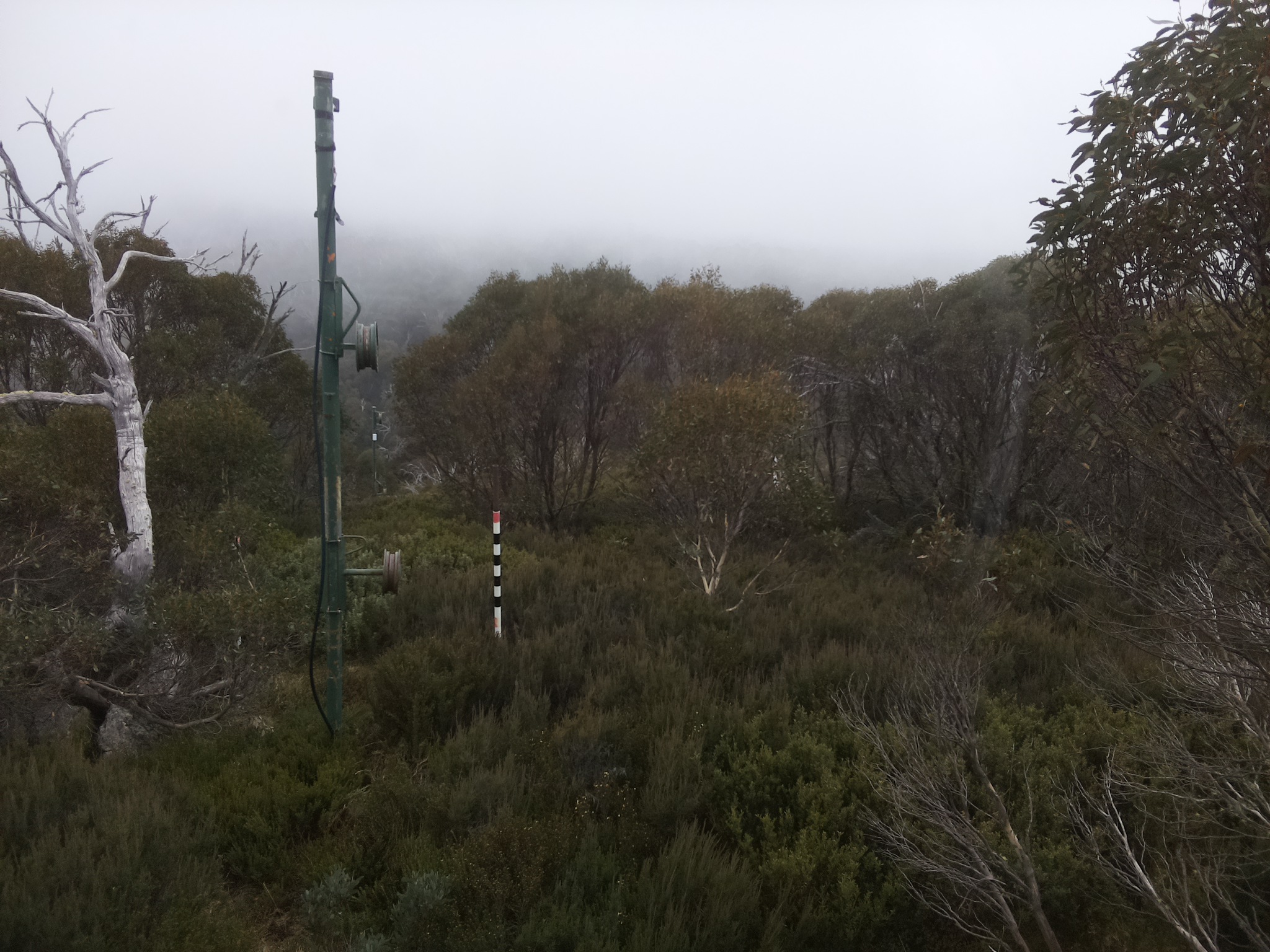 Bogong Web Cam 1:20pm Thursday 22nd of May 2025