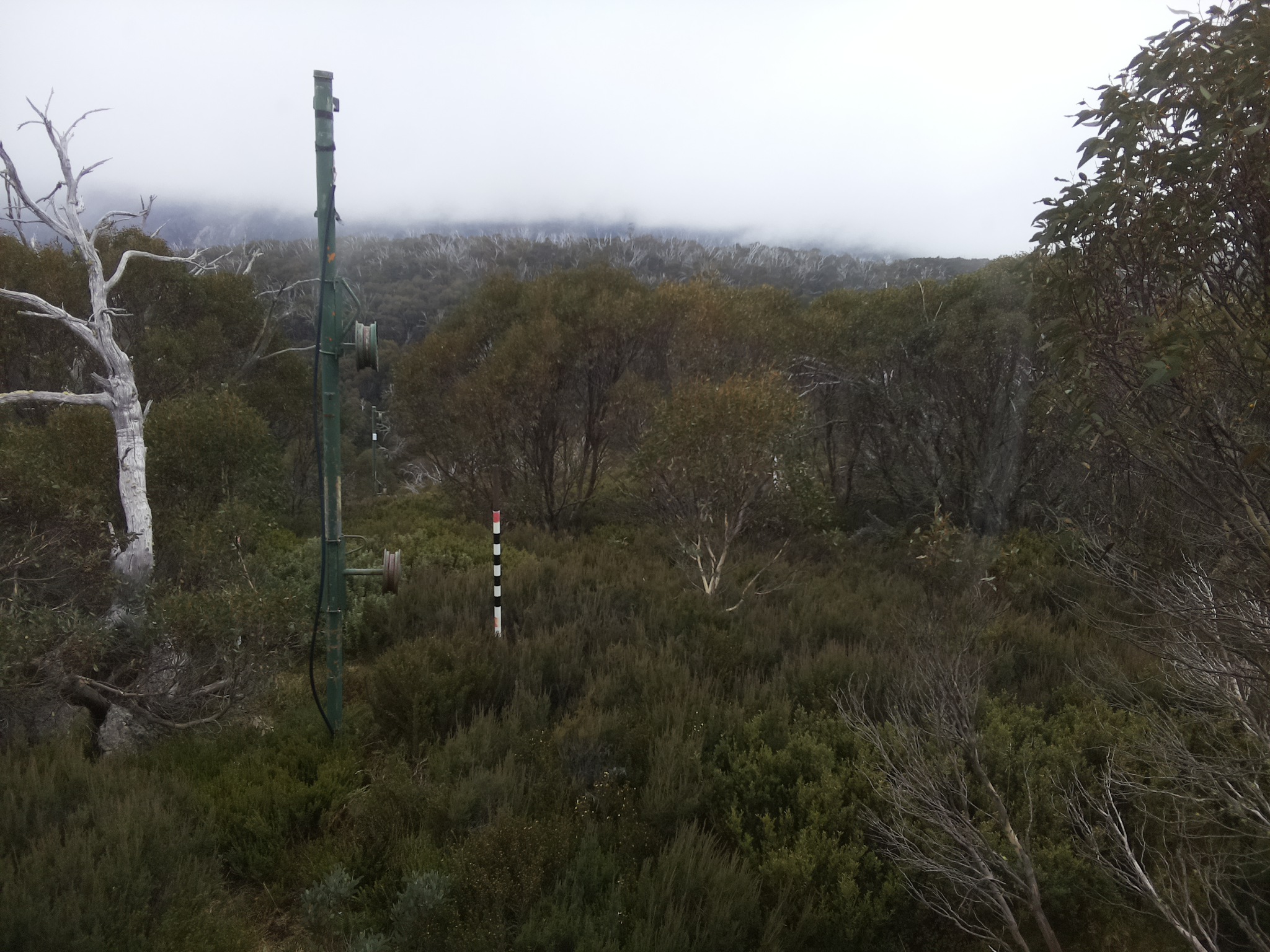 Bogong Web Cam 1:30pm Thursday 22nd of May 2025