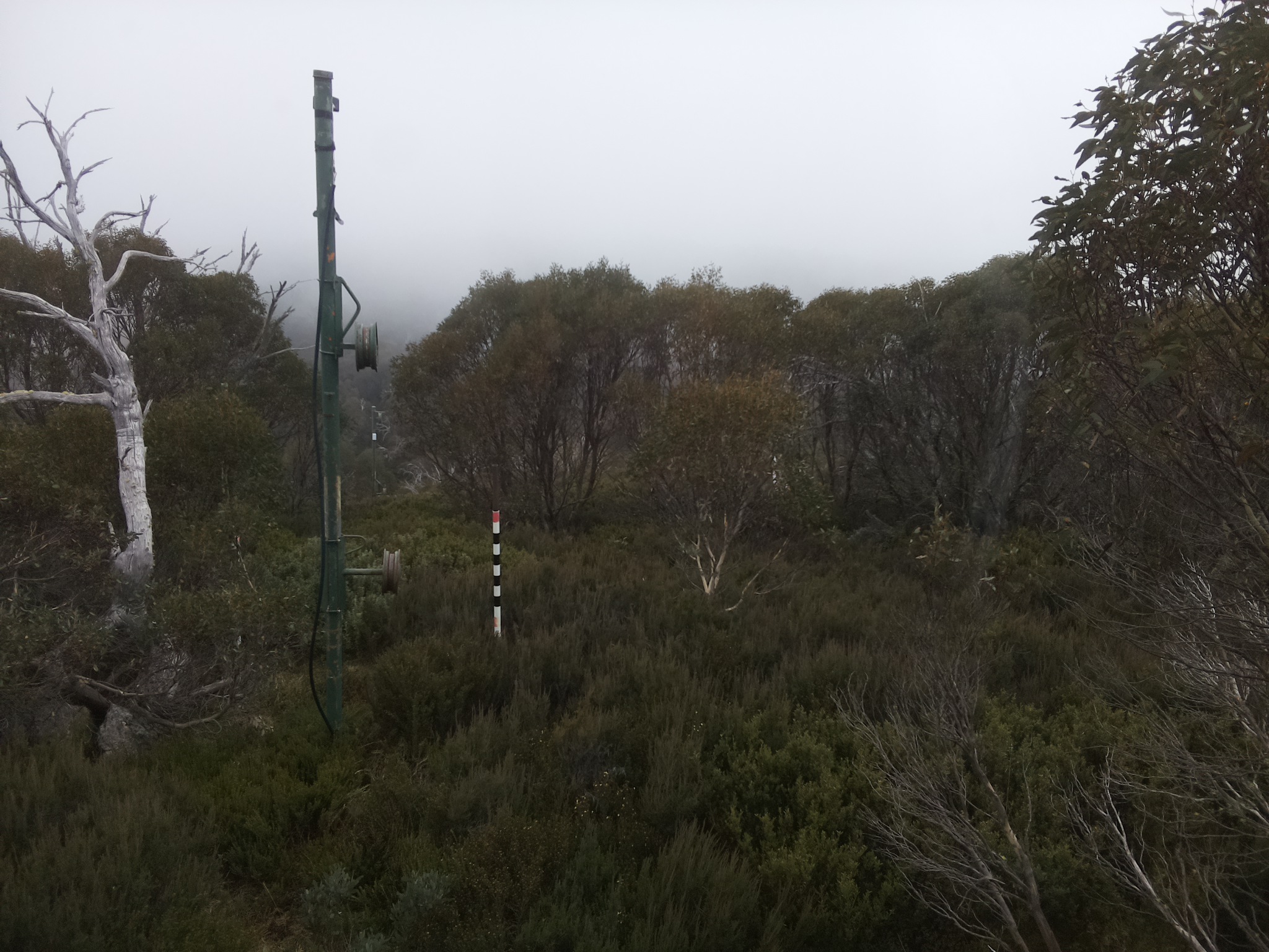 Bogong Web Cam 1:40pm Thursday 22nd of May 2025