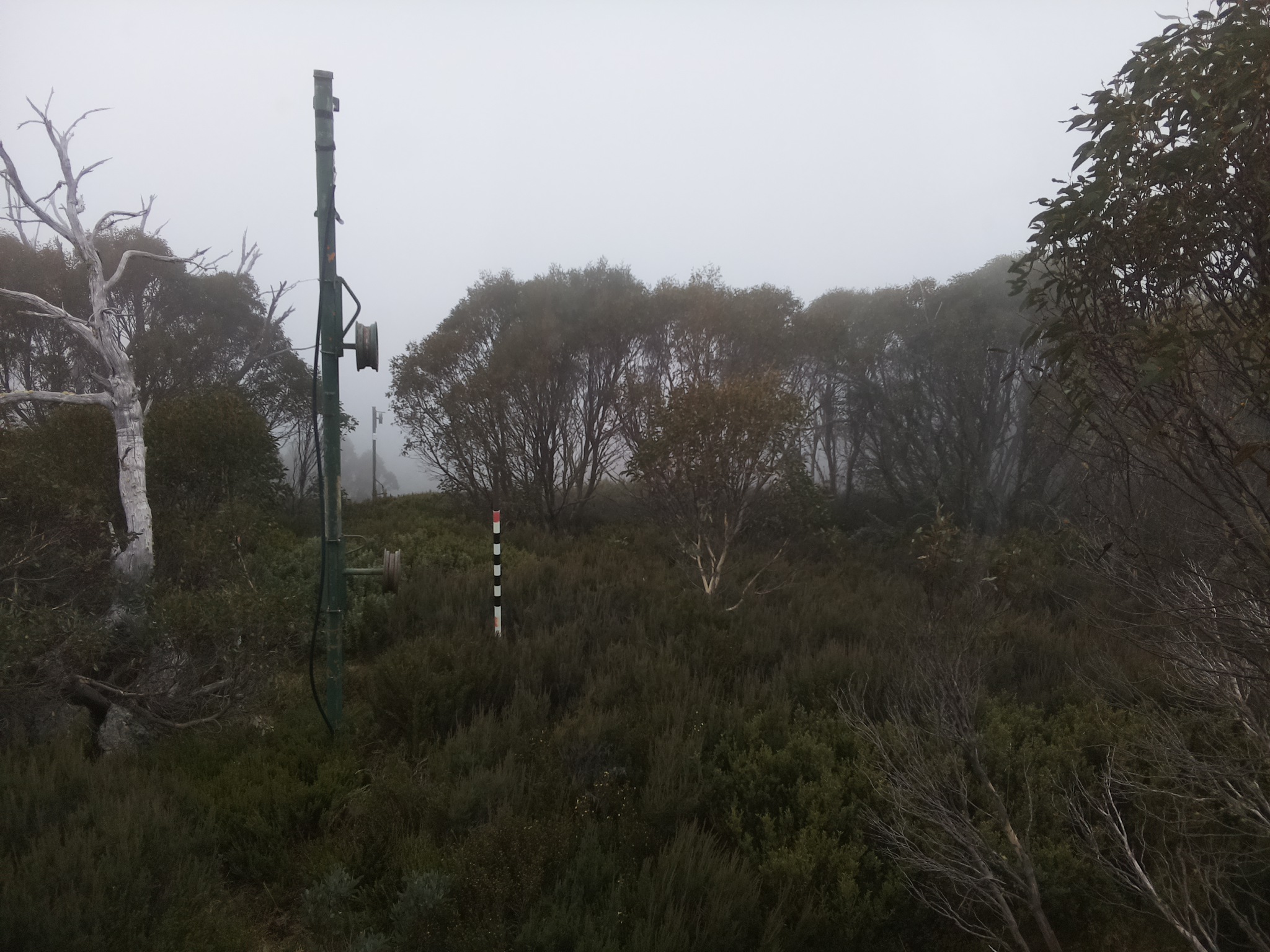 Bogong Web Cam 2:00pm Thursday 22nd of May 2025