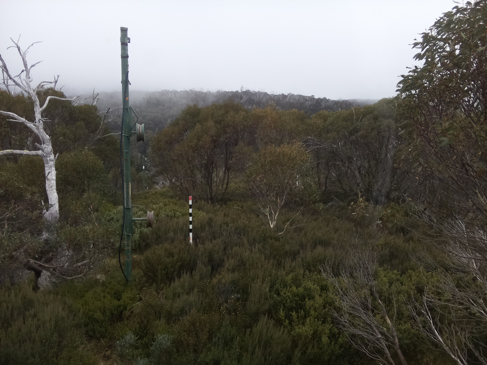 Bogong Web Cam 2:20pm Thursday 22nd of May 2025