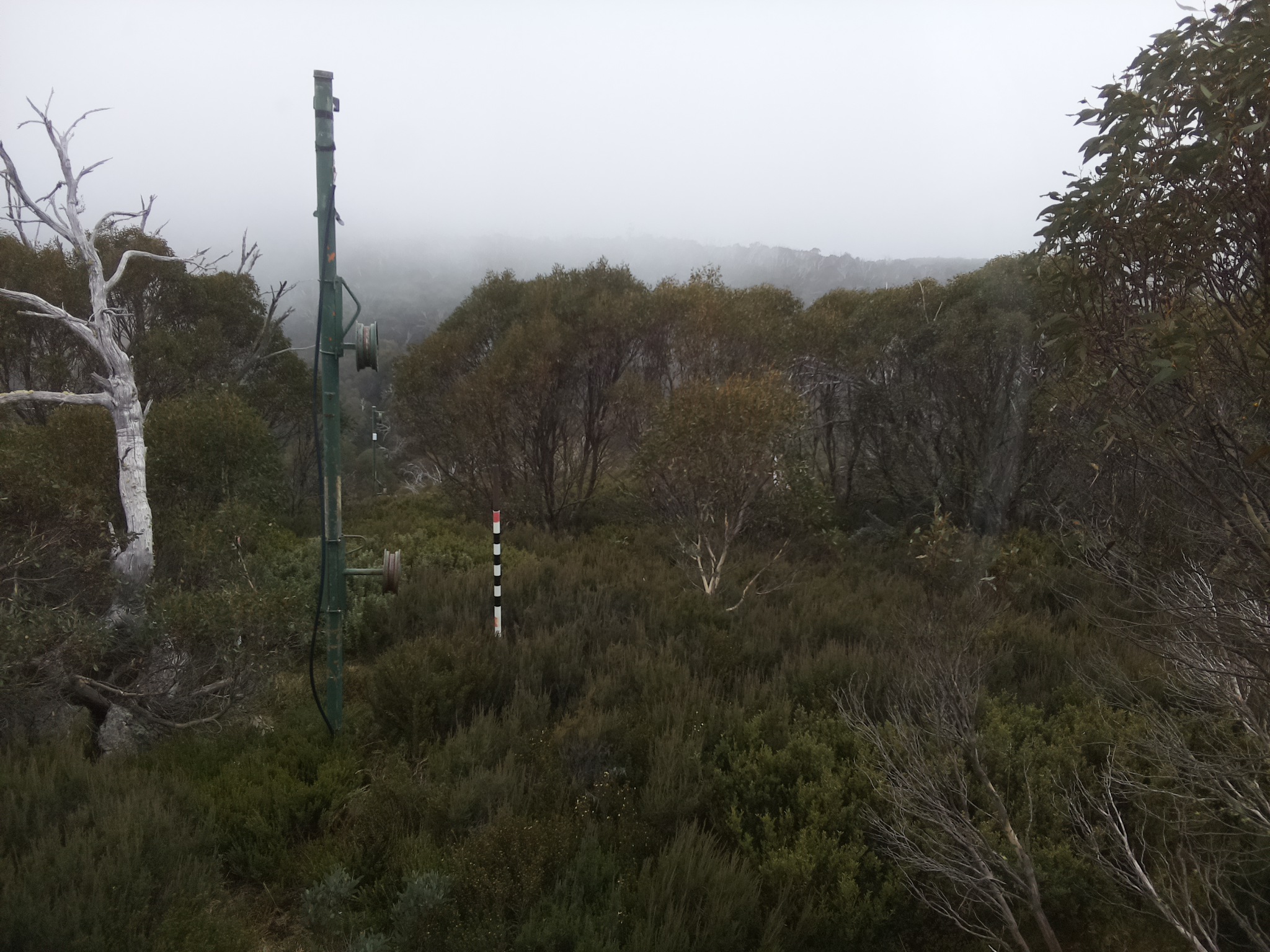 Bogong Web Cam 2:30pm Thursday 22nd of May 2025