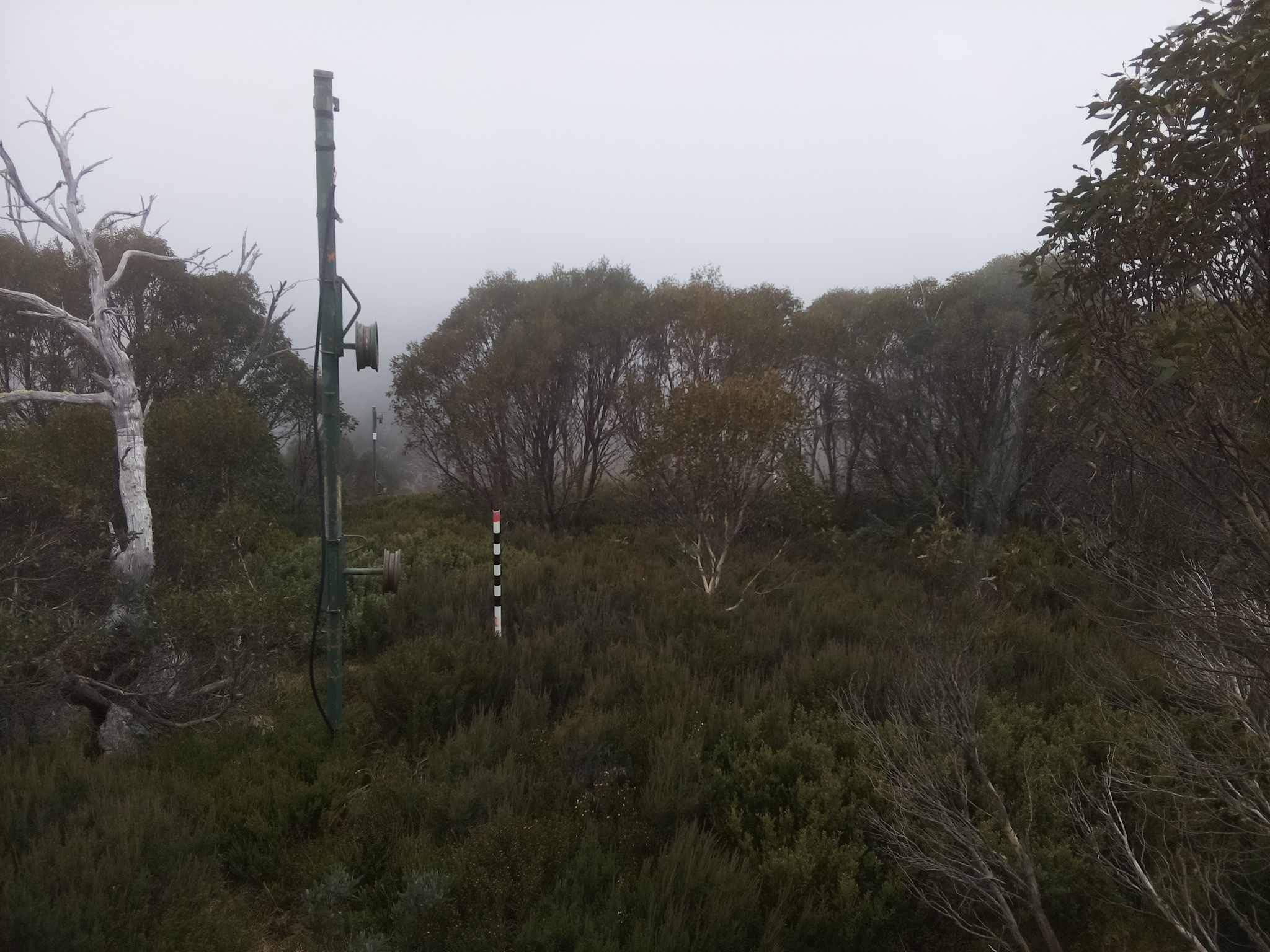 Bogong Web Cam 2:50pm Thursday 22nd of May 2025