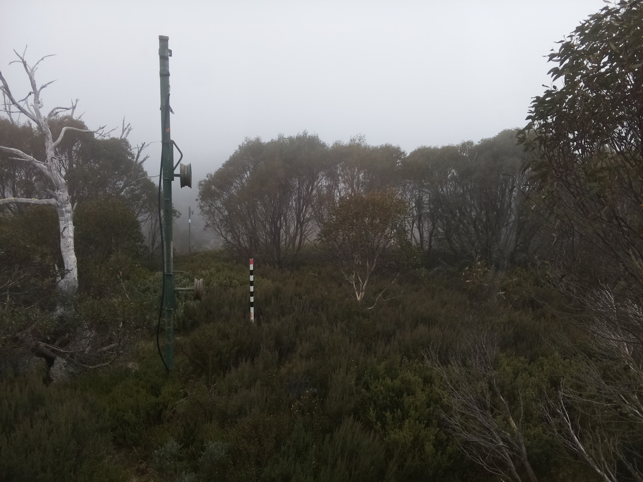 Bogong Web Cam 3:00pm Thursday 22nd of May 2025