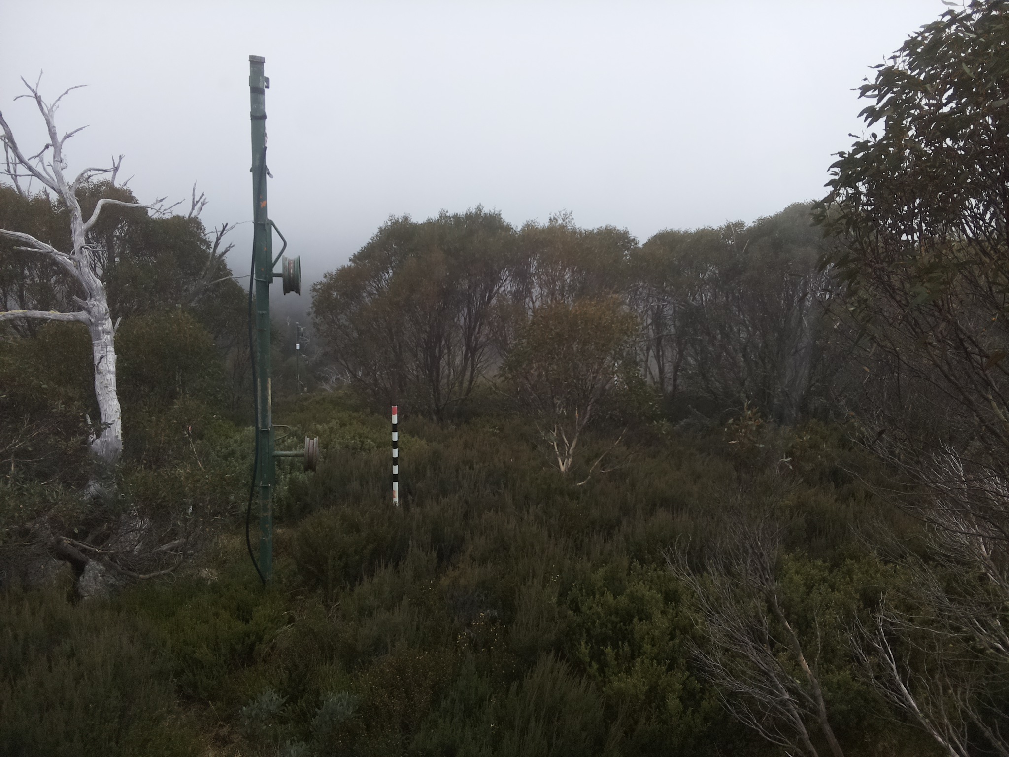 Bogong Web Cam 3:50pm Thursday 22nd of May 2025