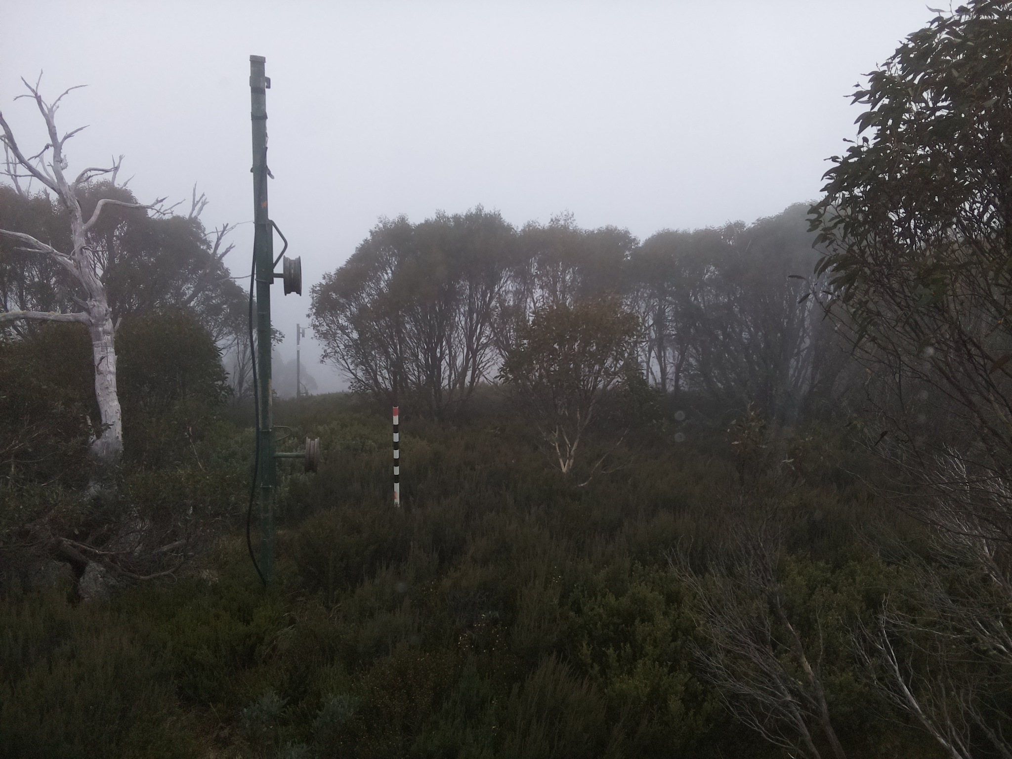 Bogong Web Cam 4:00pm Thursday 22nd of May 2025
