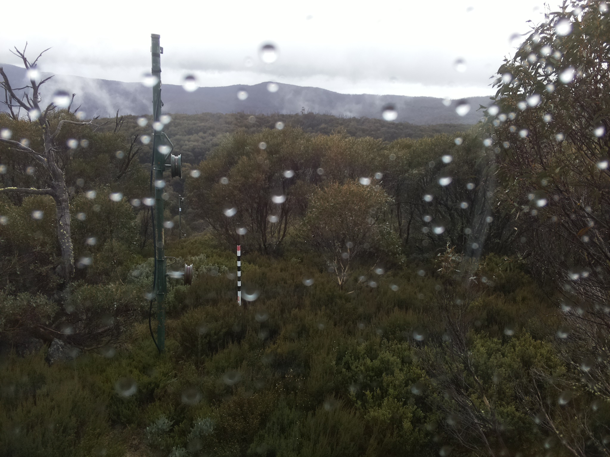 Bogong Web Cam 3:20pm Friday 23rd of May 2025