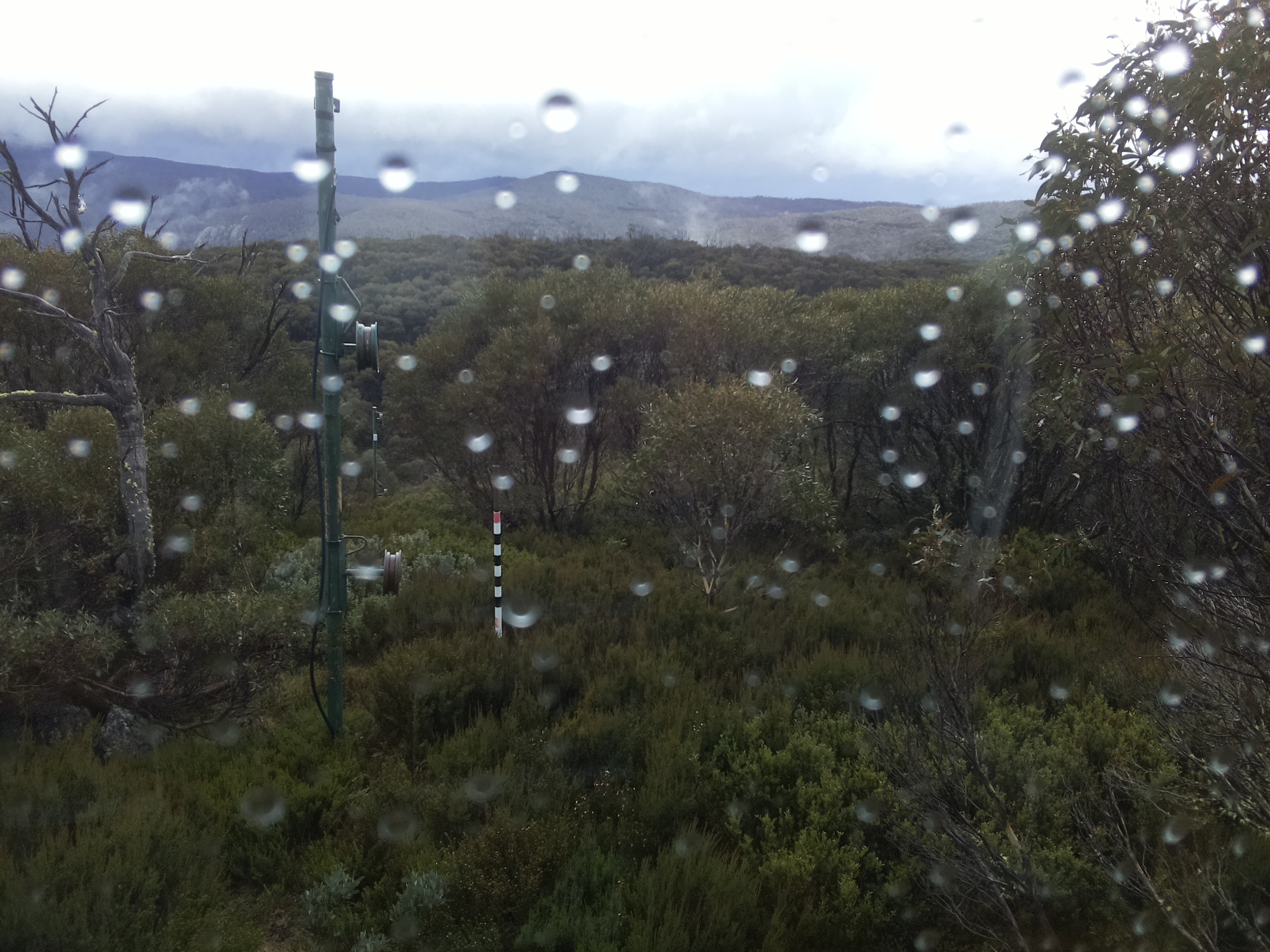Bogong Web Cam 3:40pm Friday 23rd of May 2025