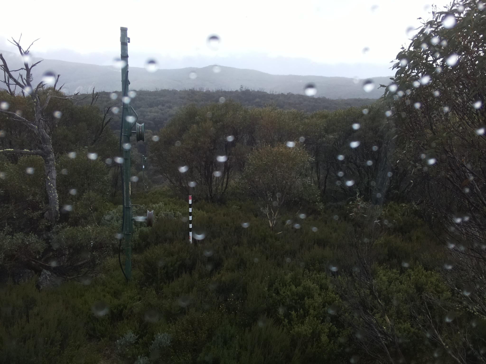 Bogong Web Cam 3:50pm Friday 23rd of May 2025