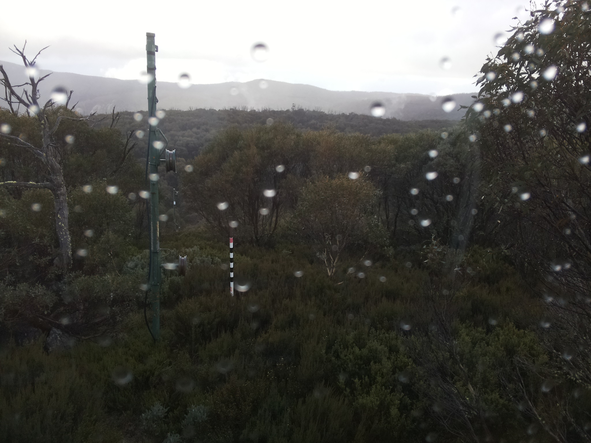 Bogong Web Cam 4:00pm Friday 23rd of May 2025