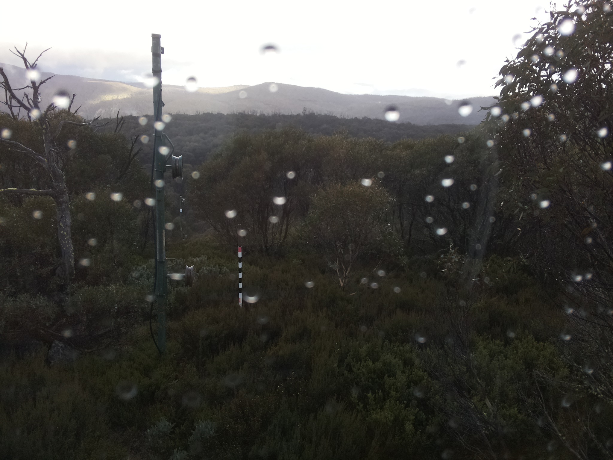 Bogong Web Cam 4:10pm Friday 23rd of May 2025