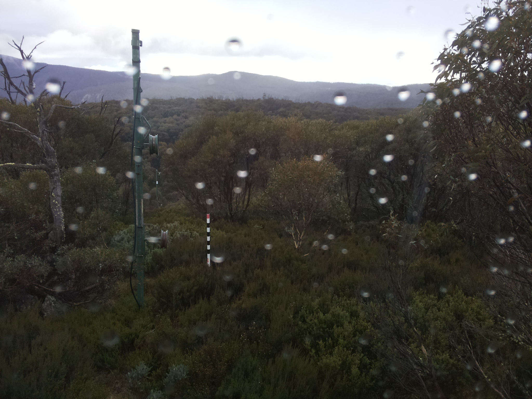 Bogong Web Cam 4:20pm Friday 23rd of May 2025