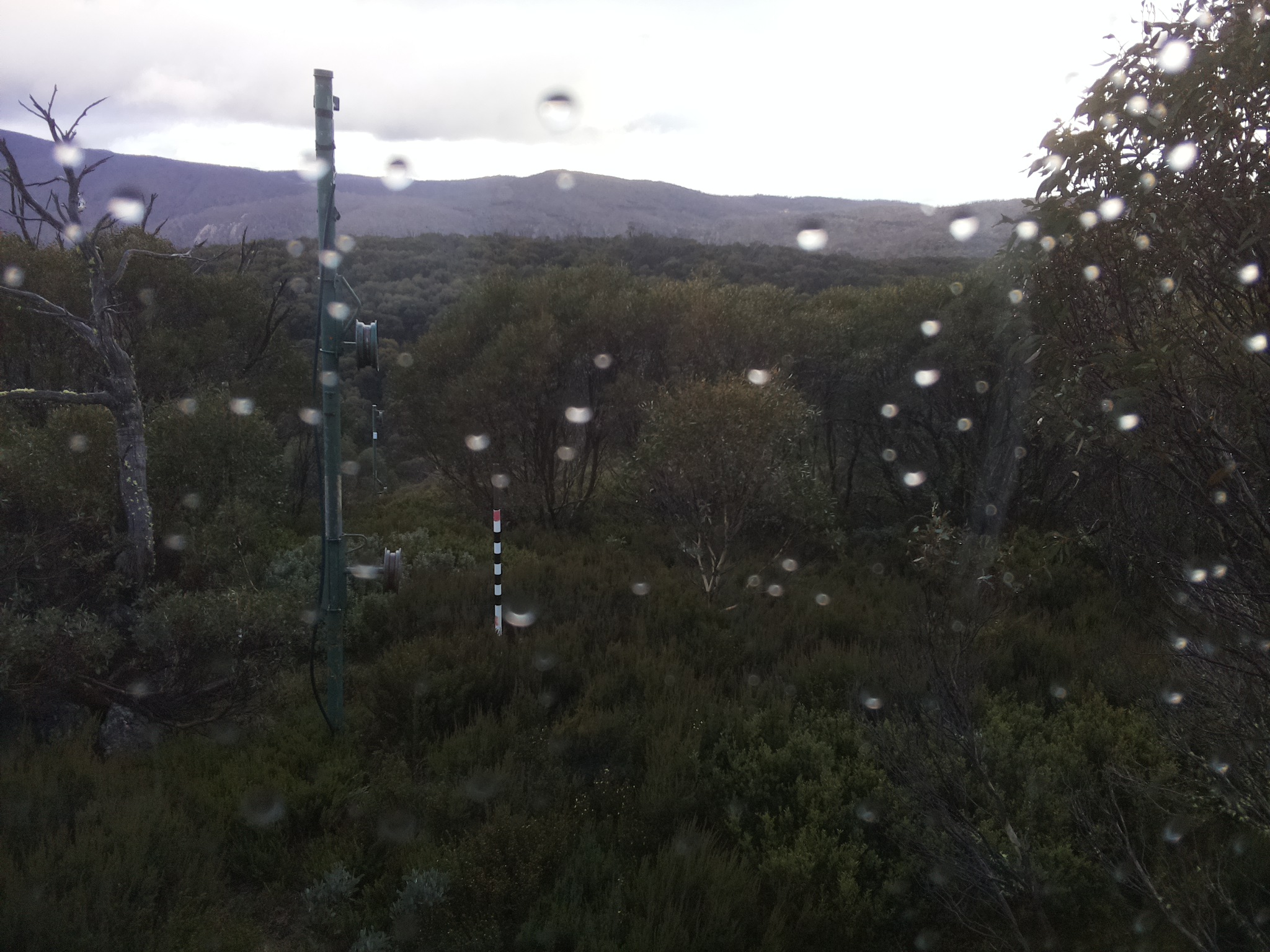 Bogong Web Cam 4:30pm Friday 23rd of May 2025