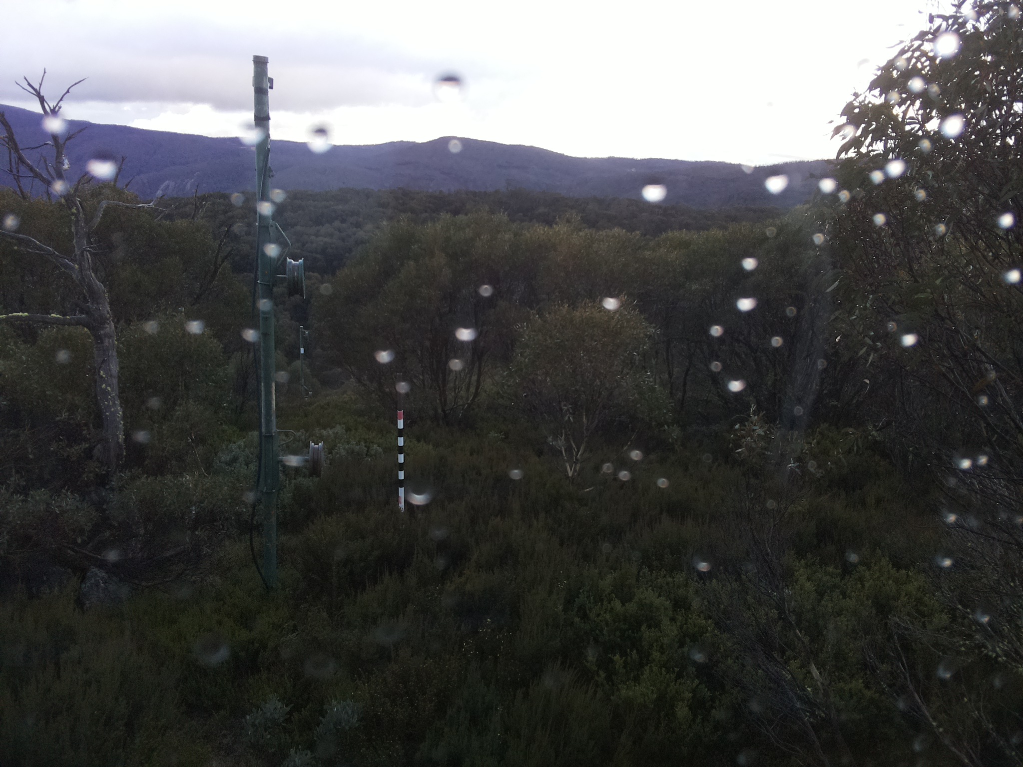 Bogong Web Cam 4:40pm Friday 23rd of May 2025