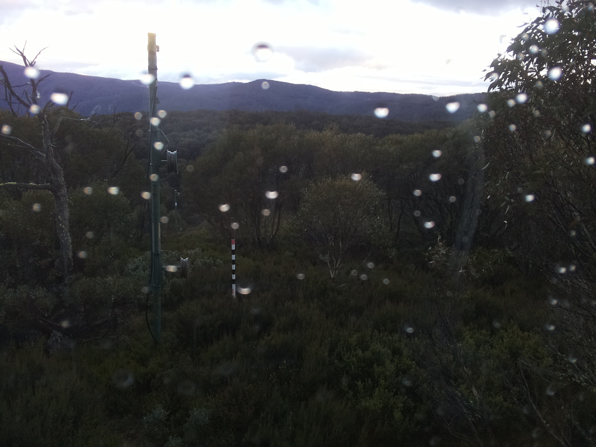 Bogong Web Cam 4:50pm Friday 23rd of May 2025