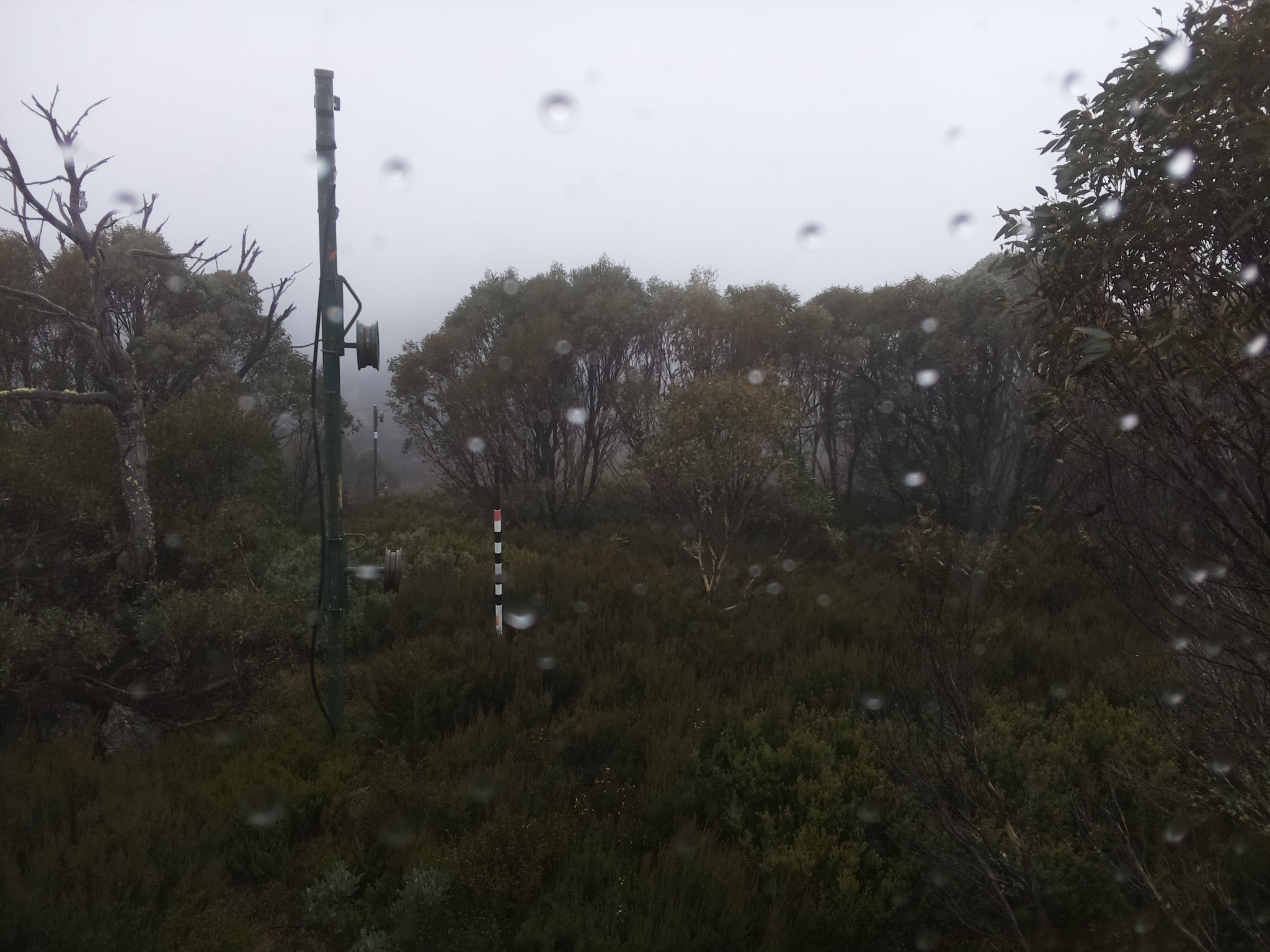 Bogong Web Cam 9:20am Saturday 24th of May 2025