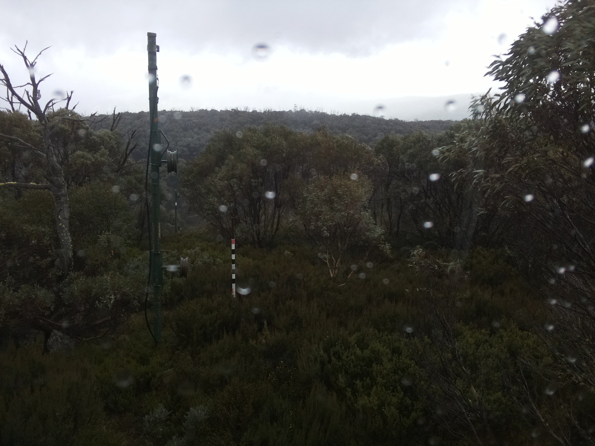 Bogong Web Cam 9:30am Saturday 24th of May 2025