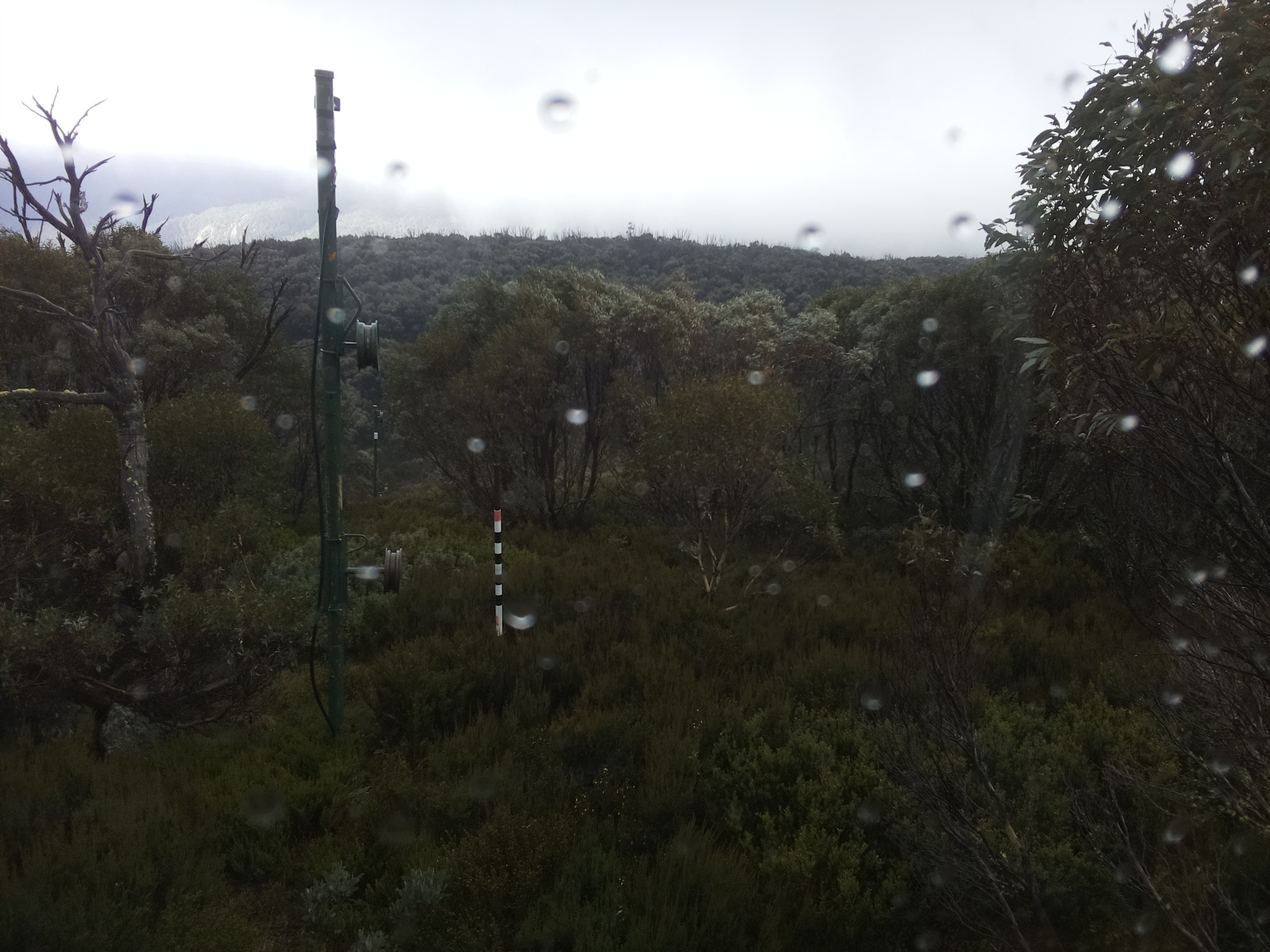 Bogong Web Cam 9:40am Saturday 24th of May 2025